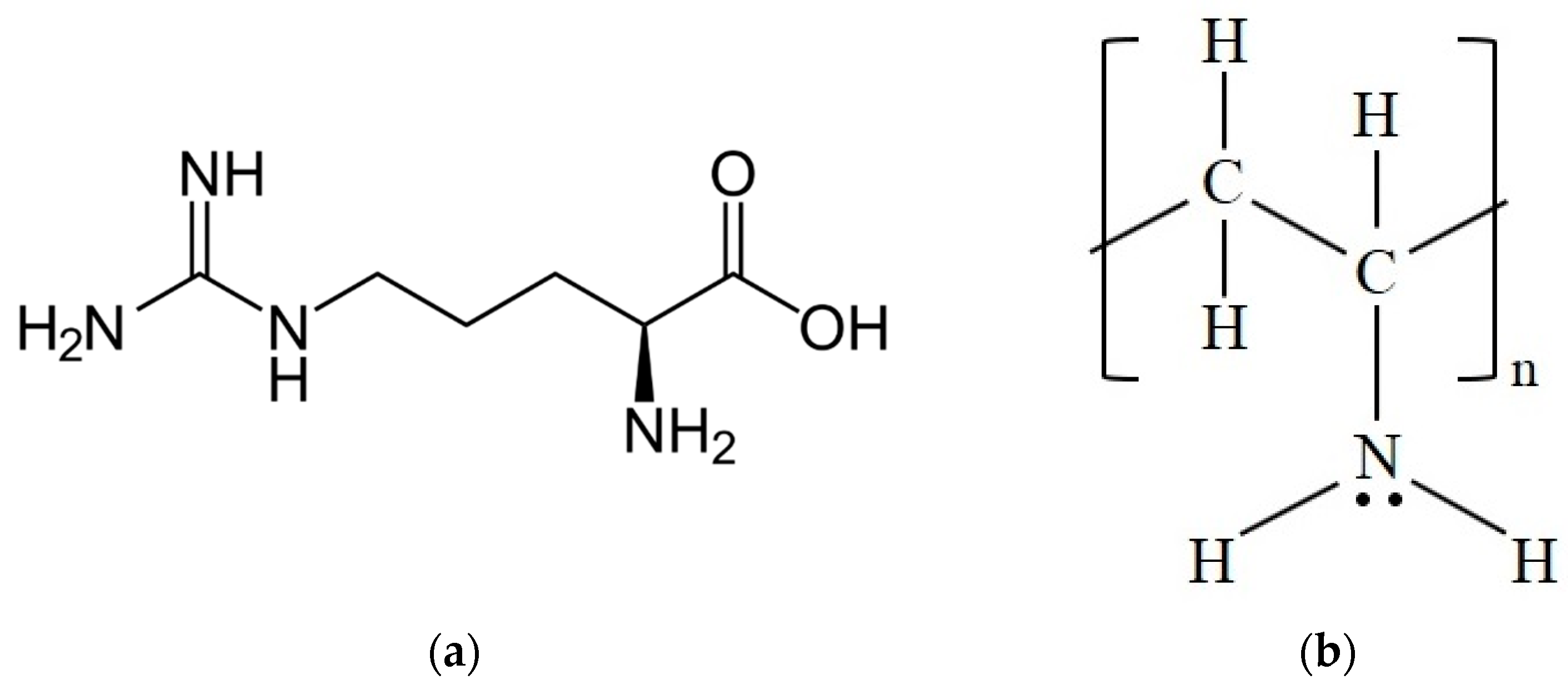 Membranes 11 00442 g001 Membranes 11 00442 g001