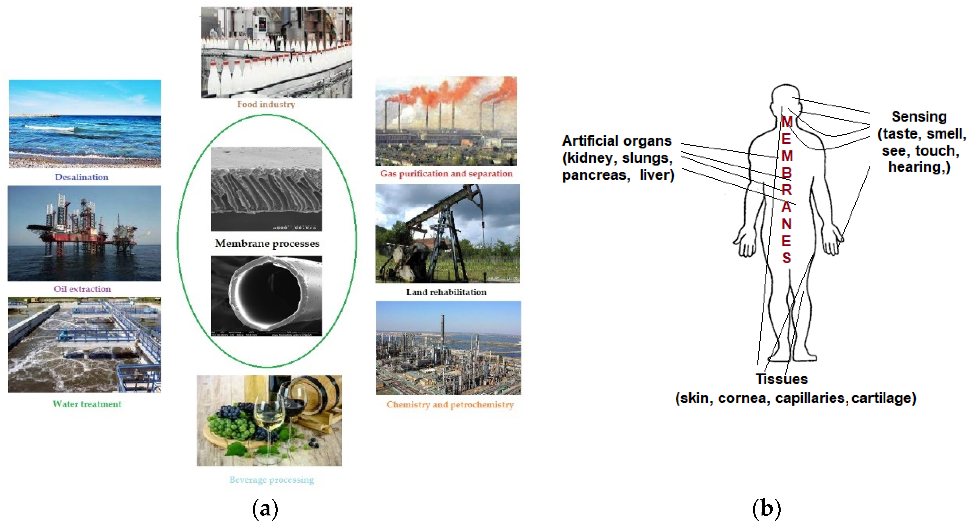 Membranes 11 00445 g001 Membranes 11 00445 g001