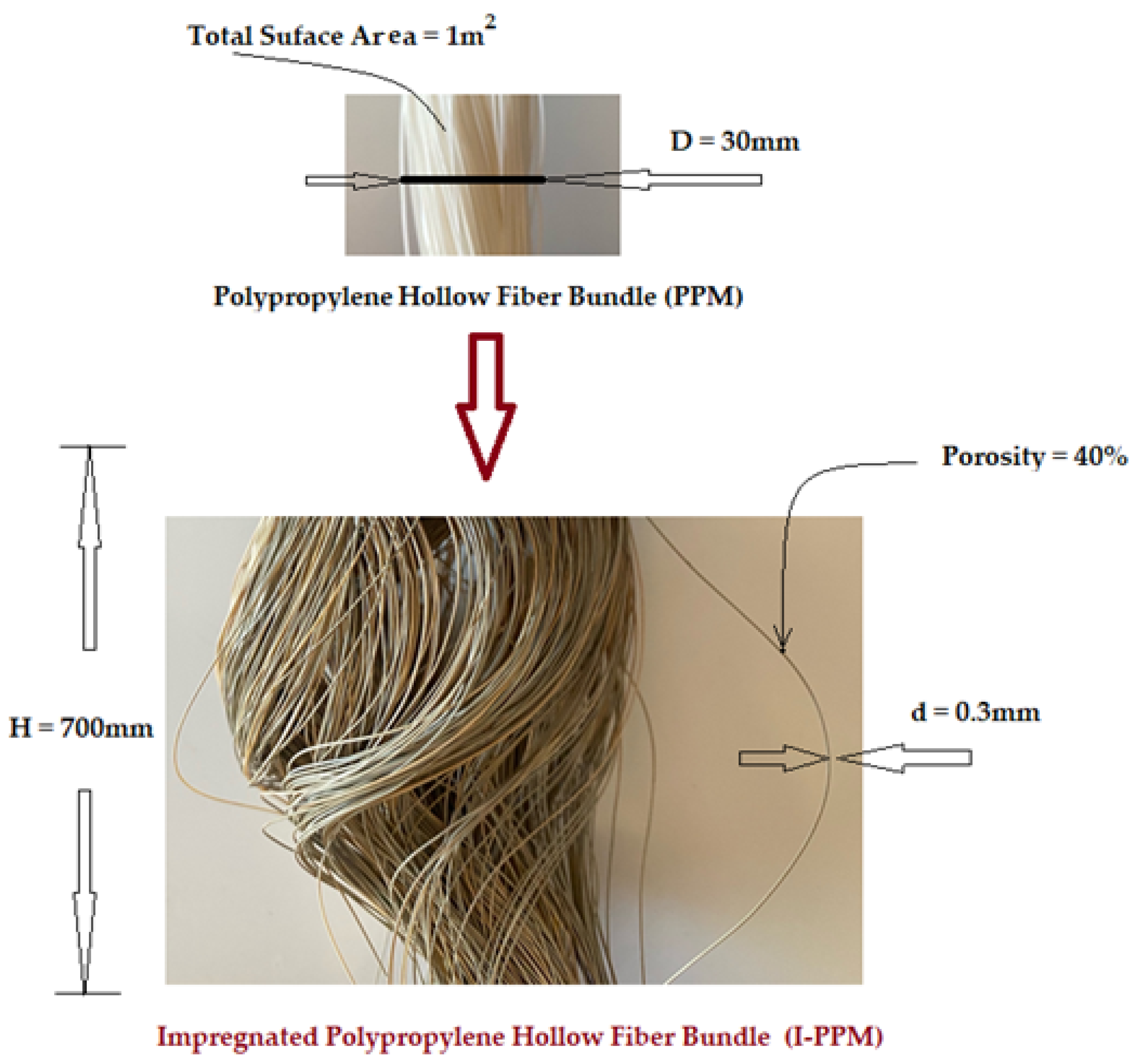 Membranes 11 00445 g002 Membranes 11 00445 g002