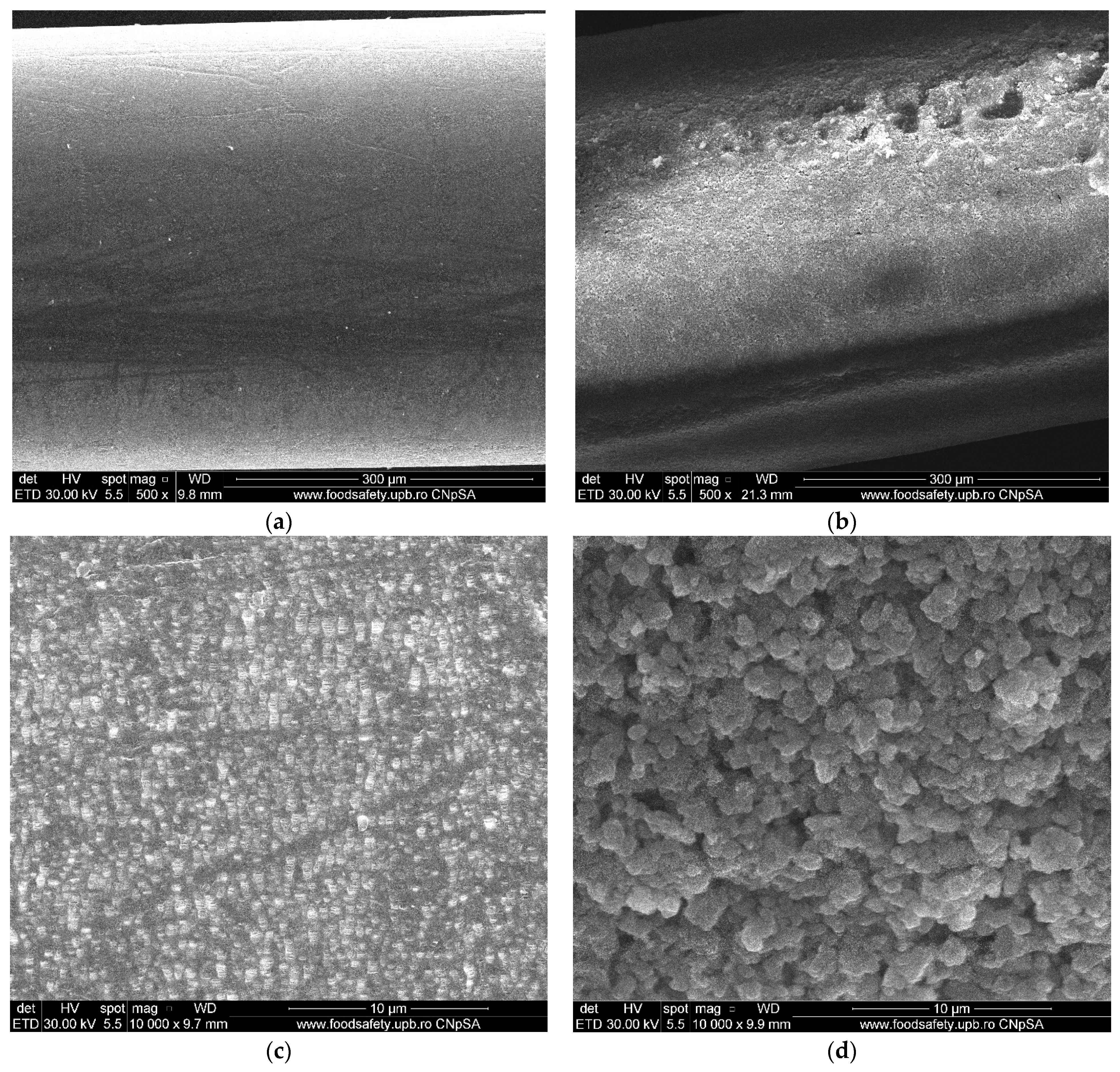 Membranes 11 00445 g006 Membranes 11 00445 g006