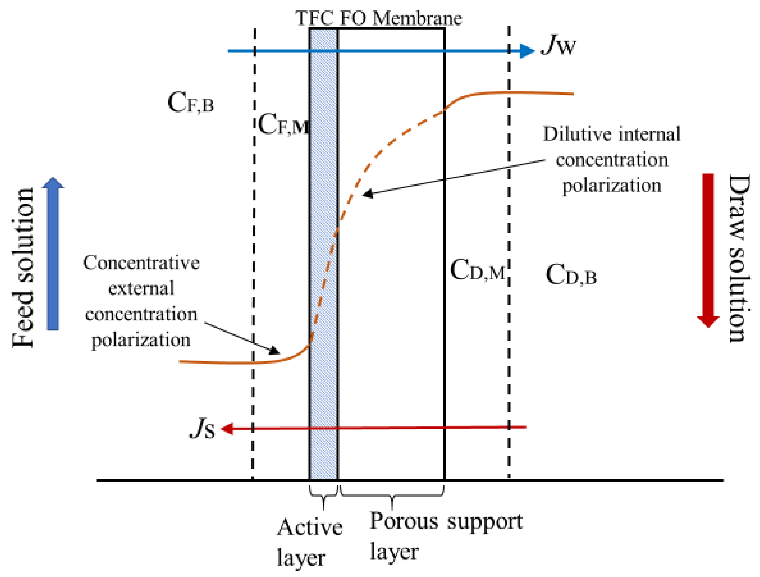 Membranes 11 00448 g001