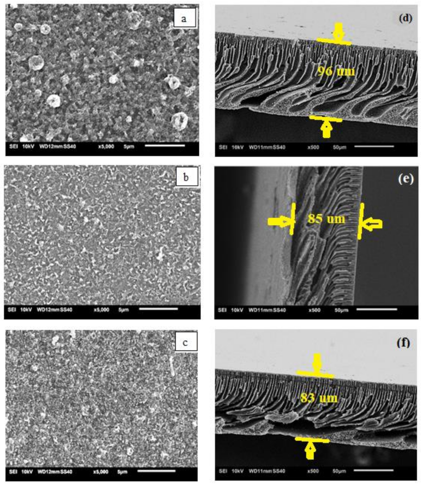 Membranes 11 00448 g003