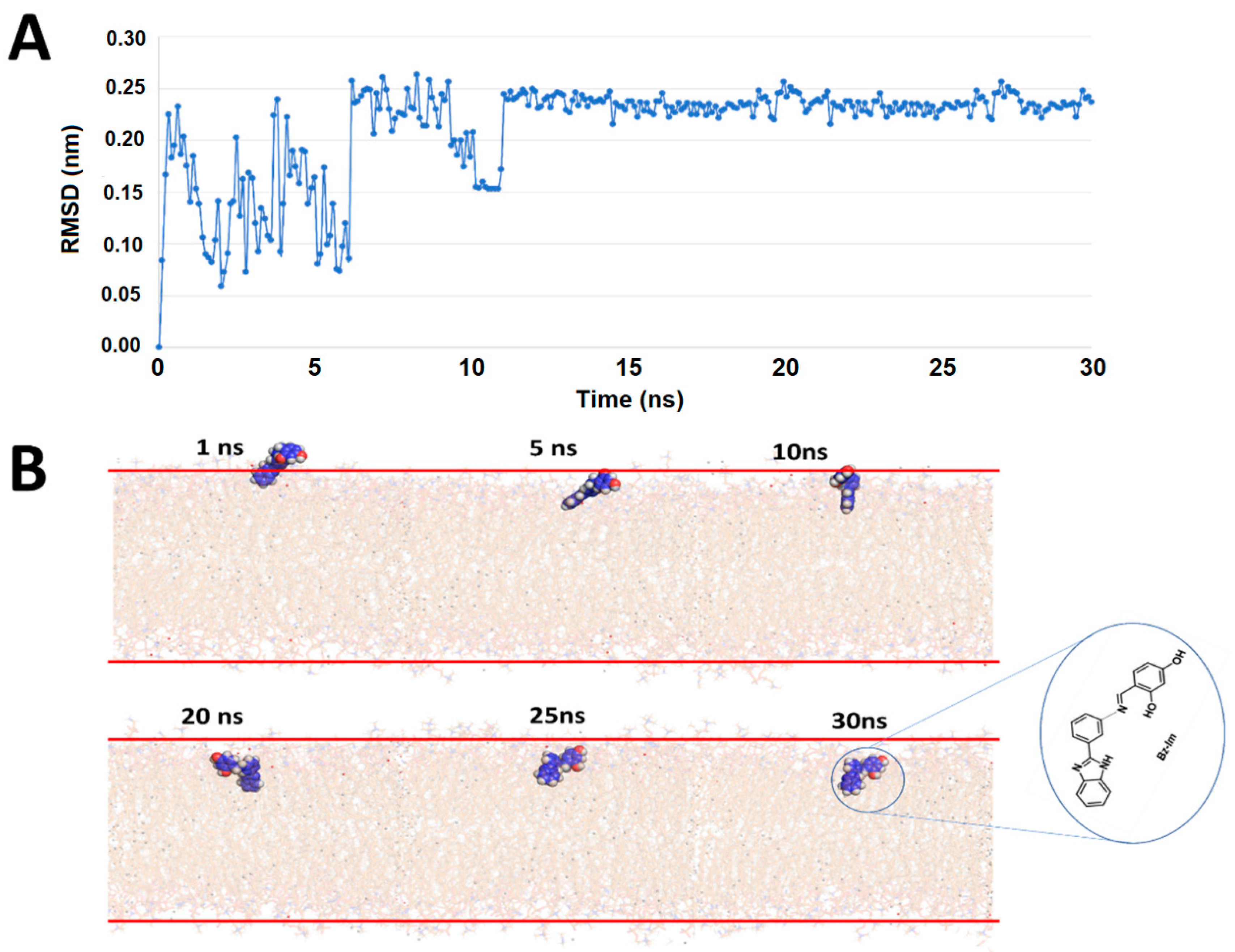Membranes 11 00449 g002