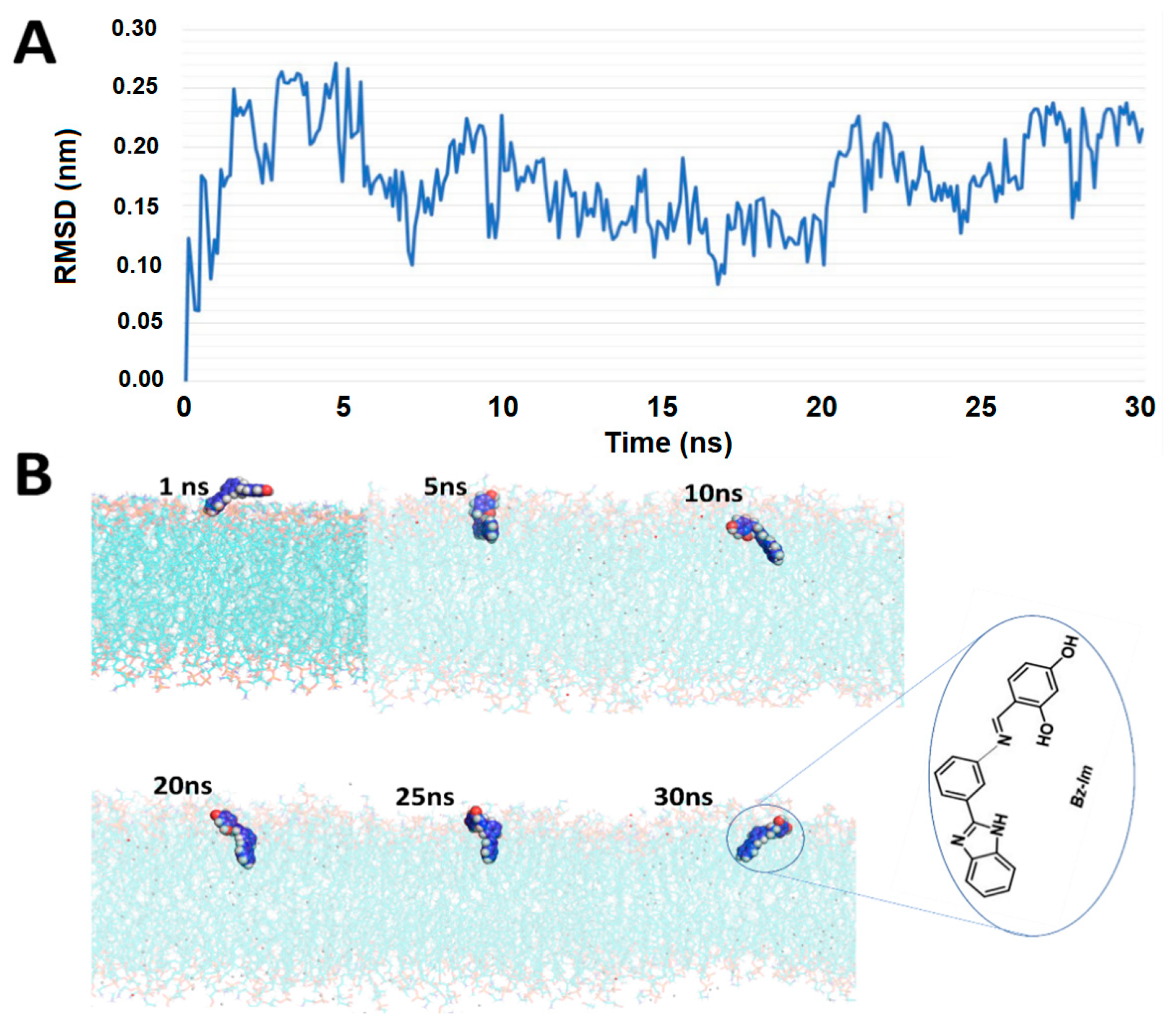 Membranes 11 00449 g004