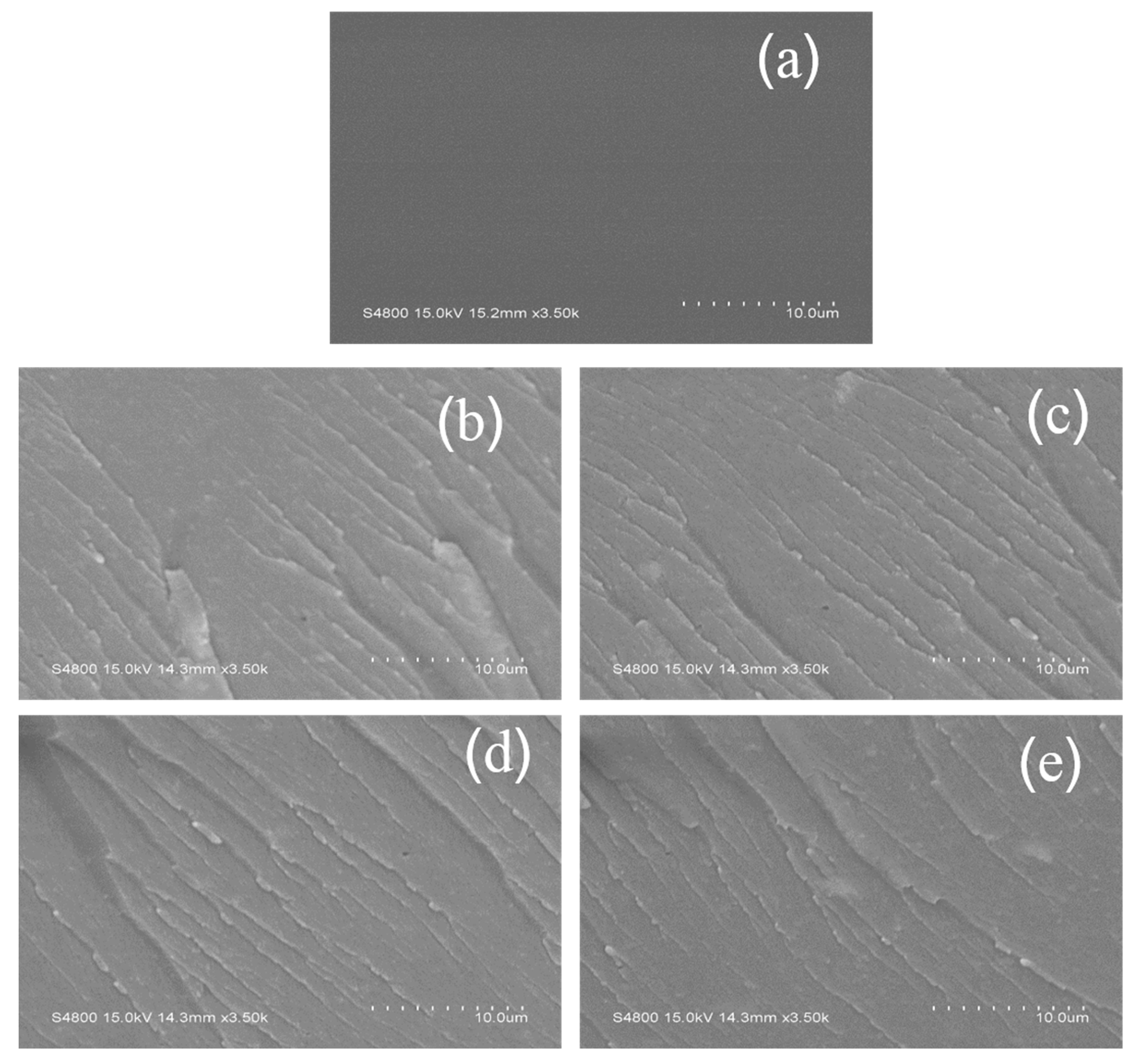 Membranes 11 00450 g005 Membranes 11 00450 g005