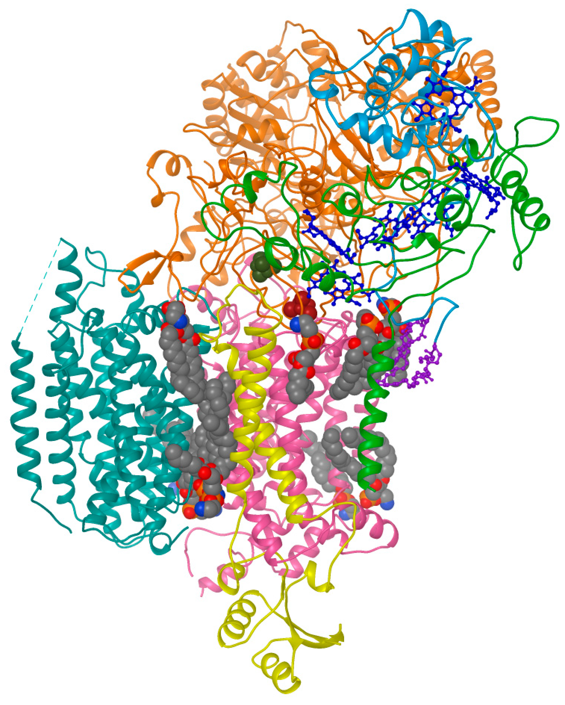 Membranes 11 00451 g005 Membranes 11 00451 g005
