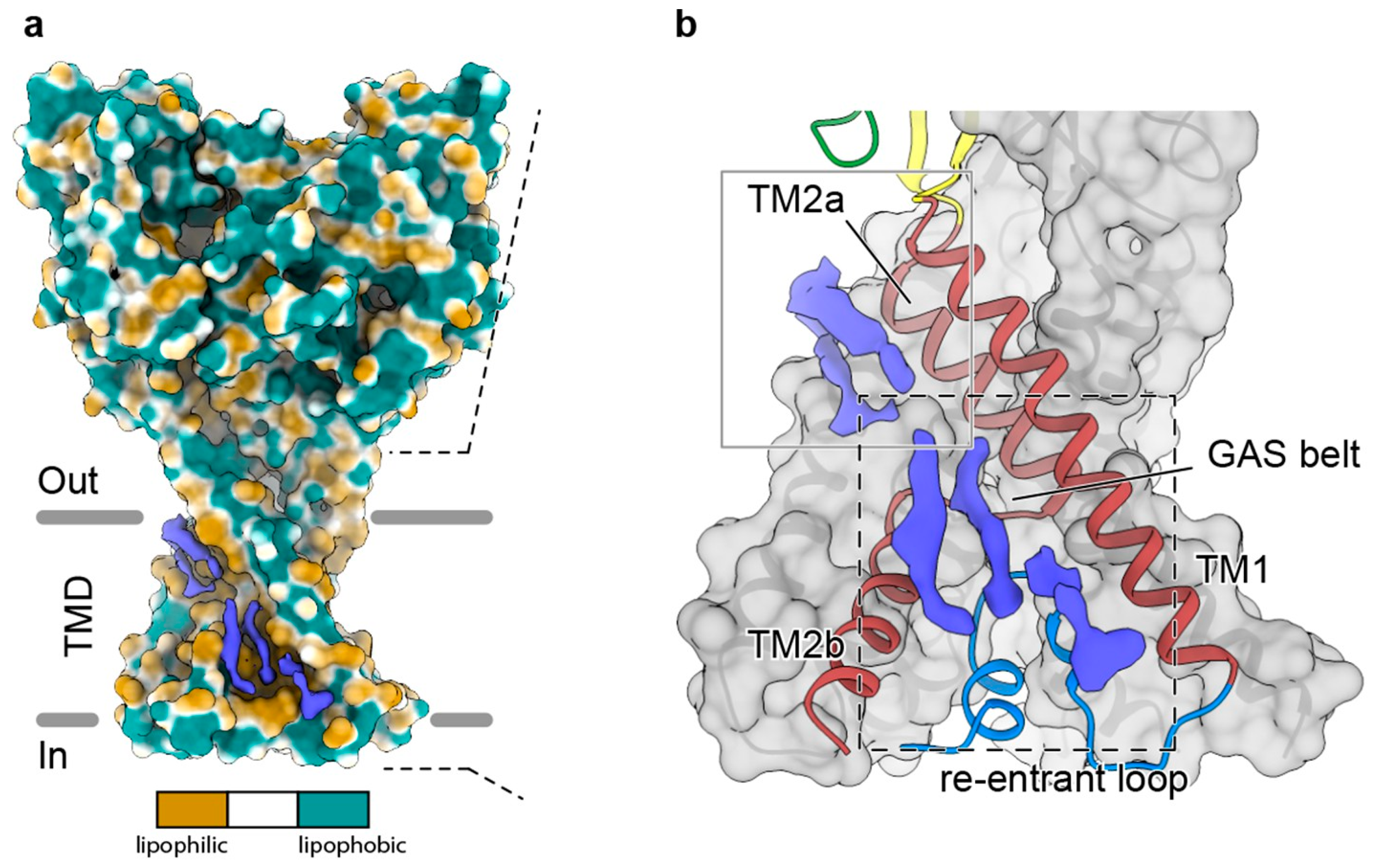 Membranes 11 00451 g006 Membranes 11 00451 g006