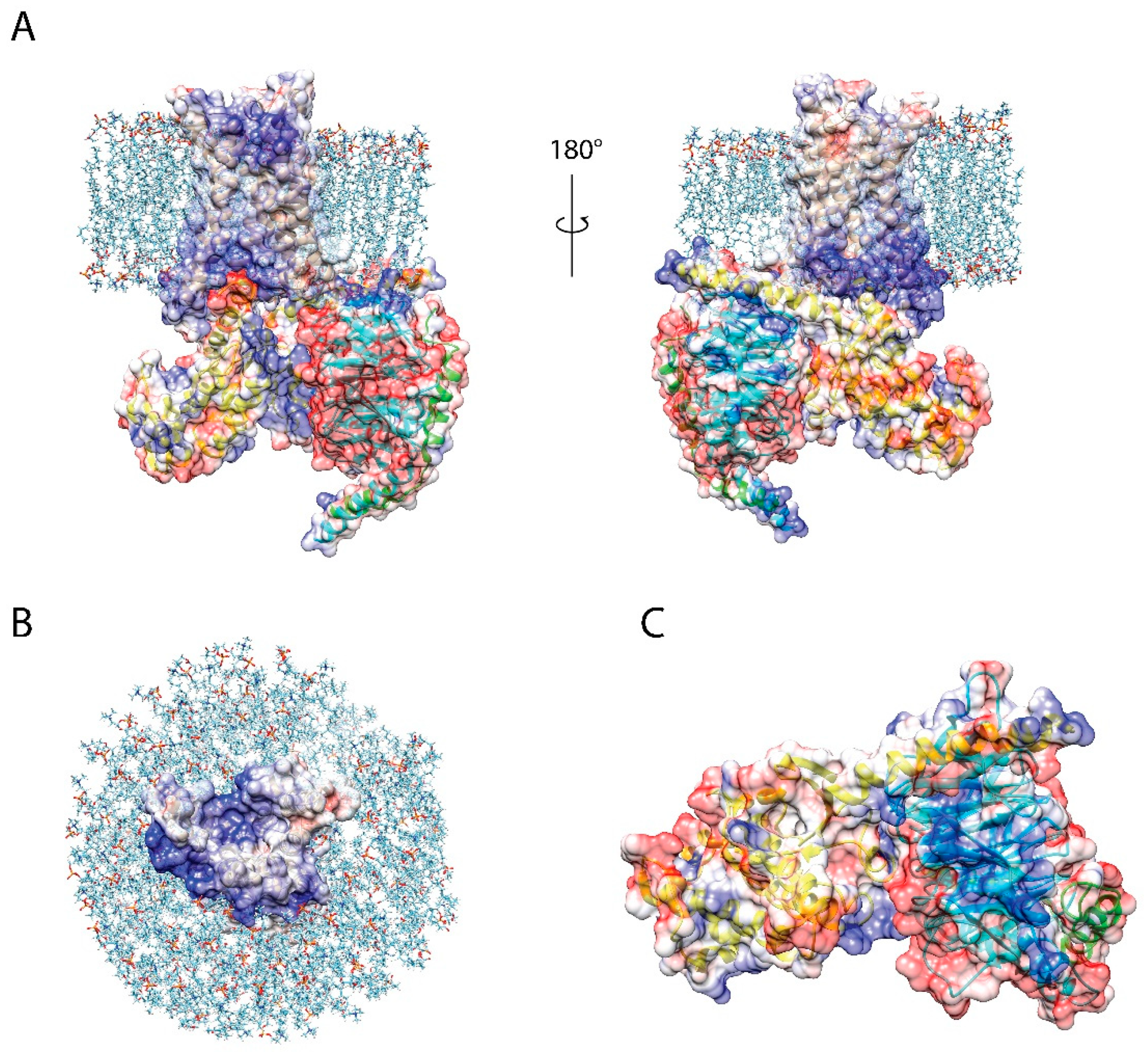 Membranes 11 00451 g007 Membranes 11 00451 g007