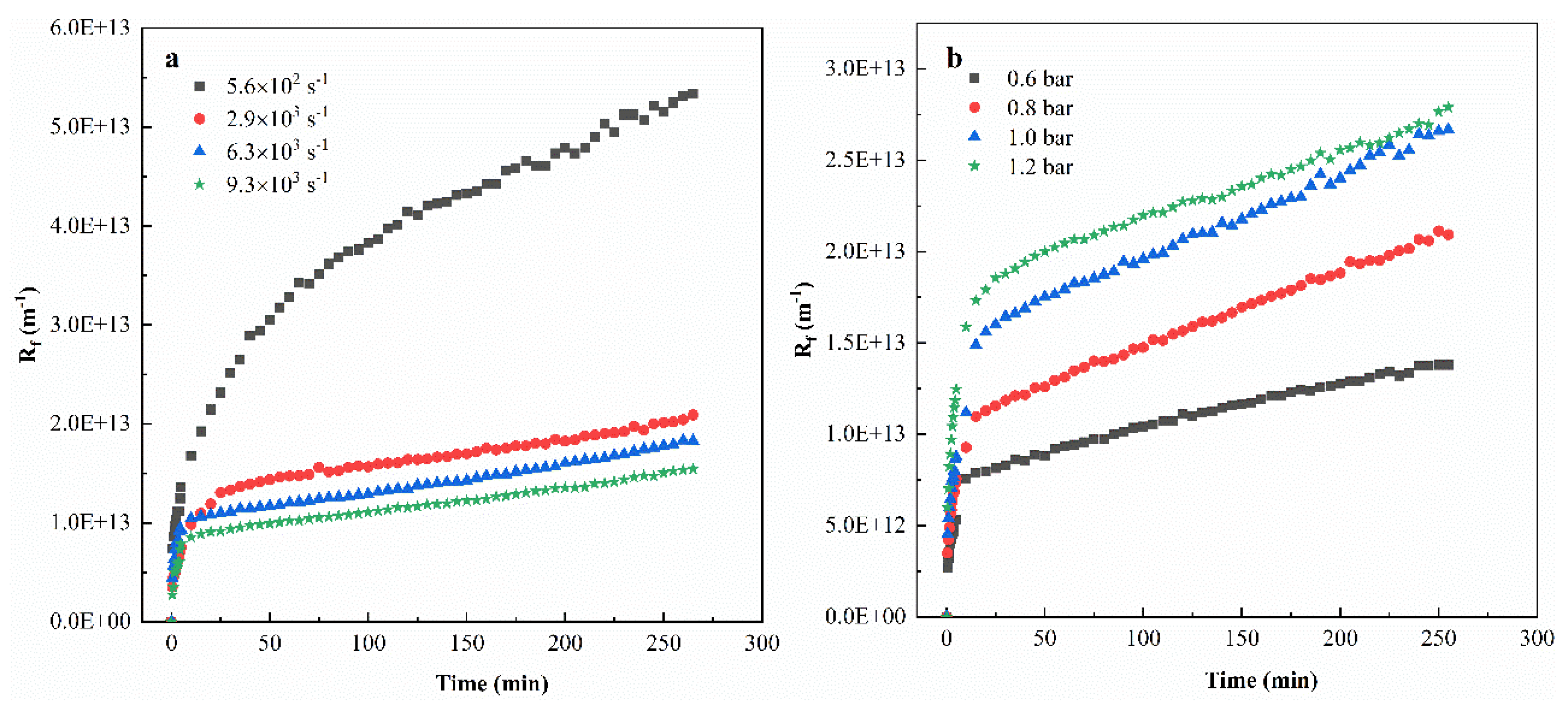 Membranes 11 00461 g006a
