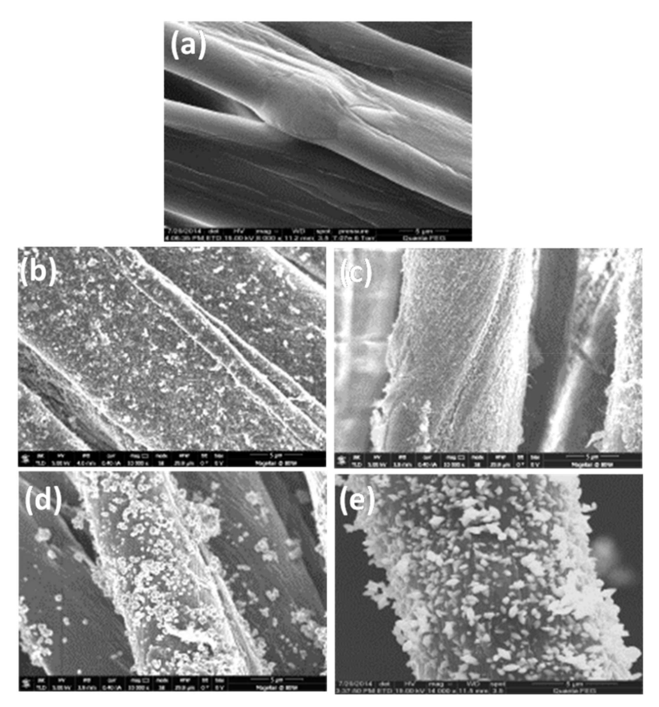 Membranes 11 00462 g001 550