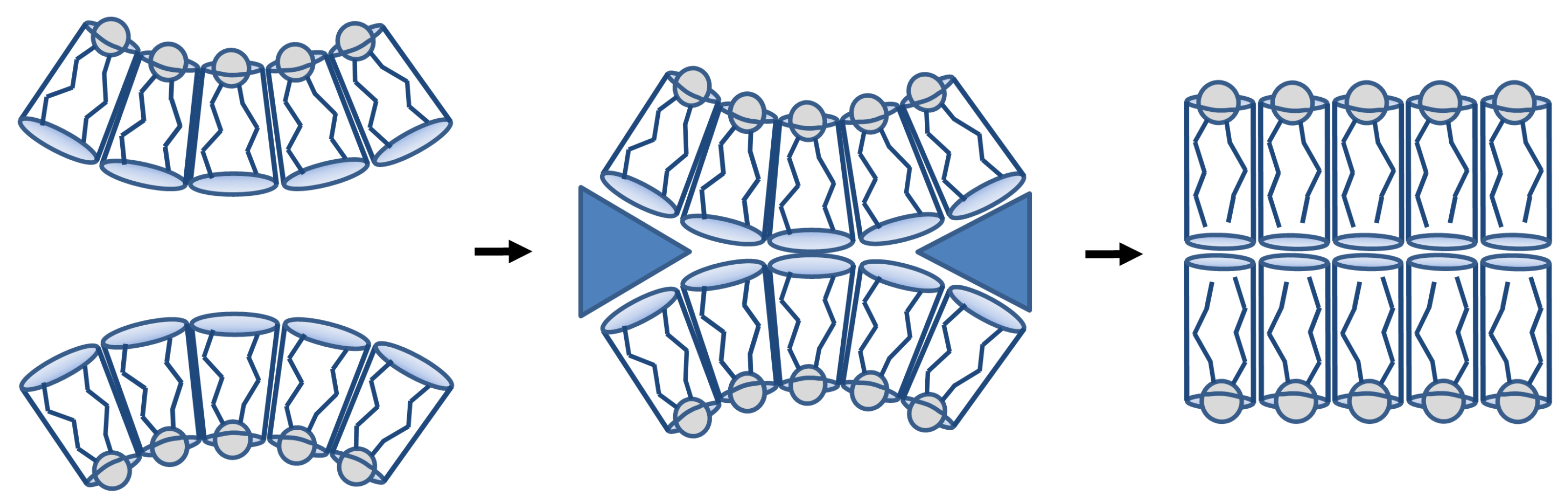 Membranes 11 00465 g005 Membranes 11 00465 g005