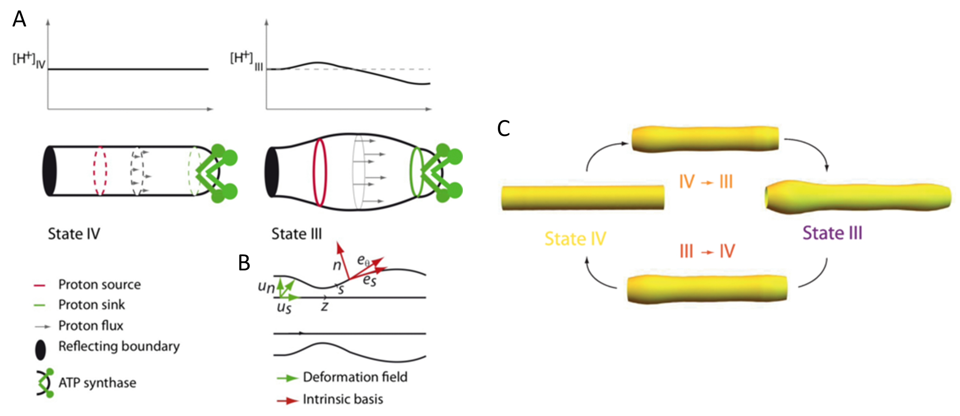 Membranes 11 00465 g007 Membranes 11 00465 g007