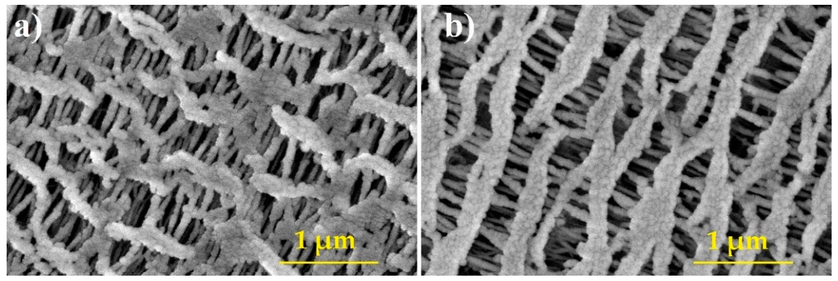 Membranes 11 00467 g001