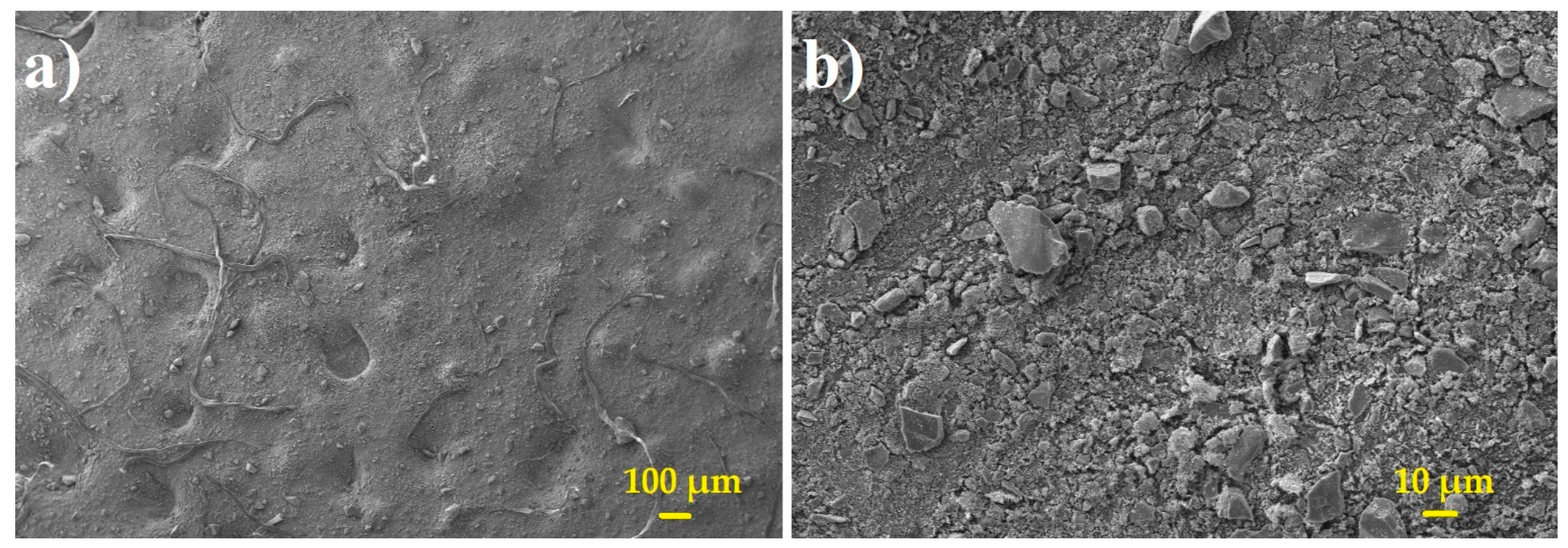 Membranes 11 00467 g003