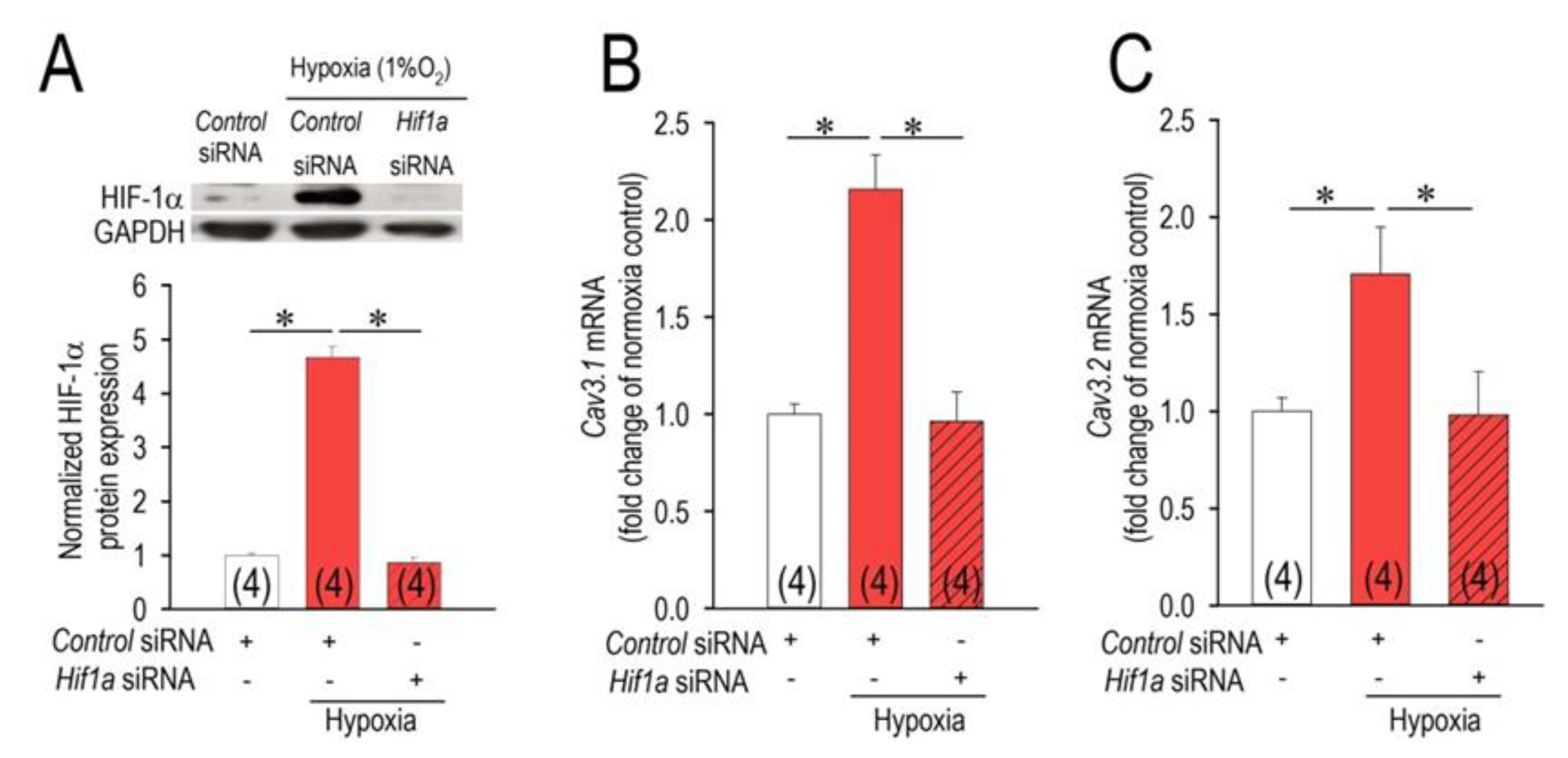 Membranes 11 00470 g002 Membranes 11 00470 g002