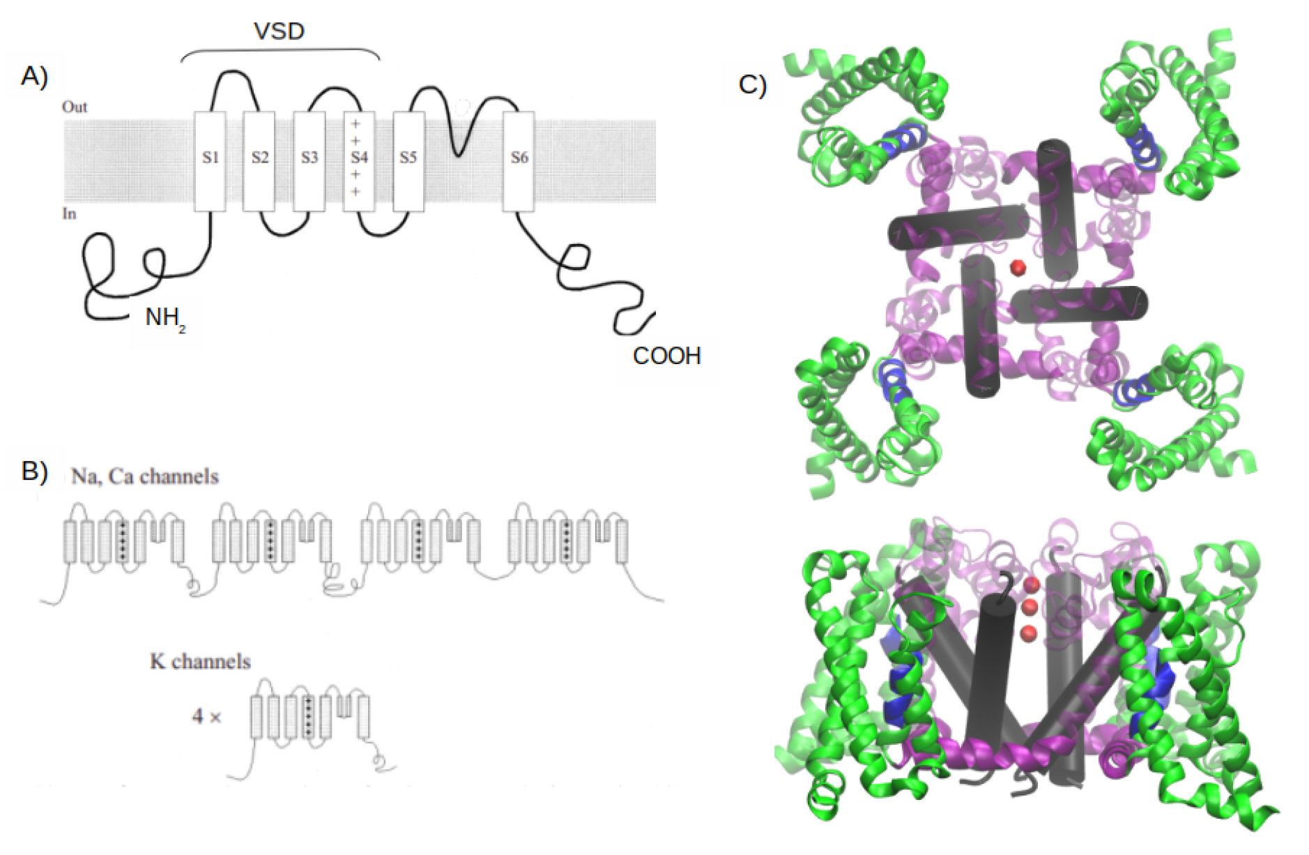 Membranes 11 00473 g001 Membranes 11 00473 g001