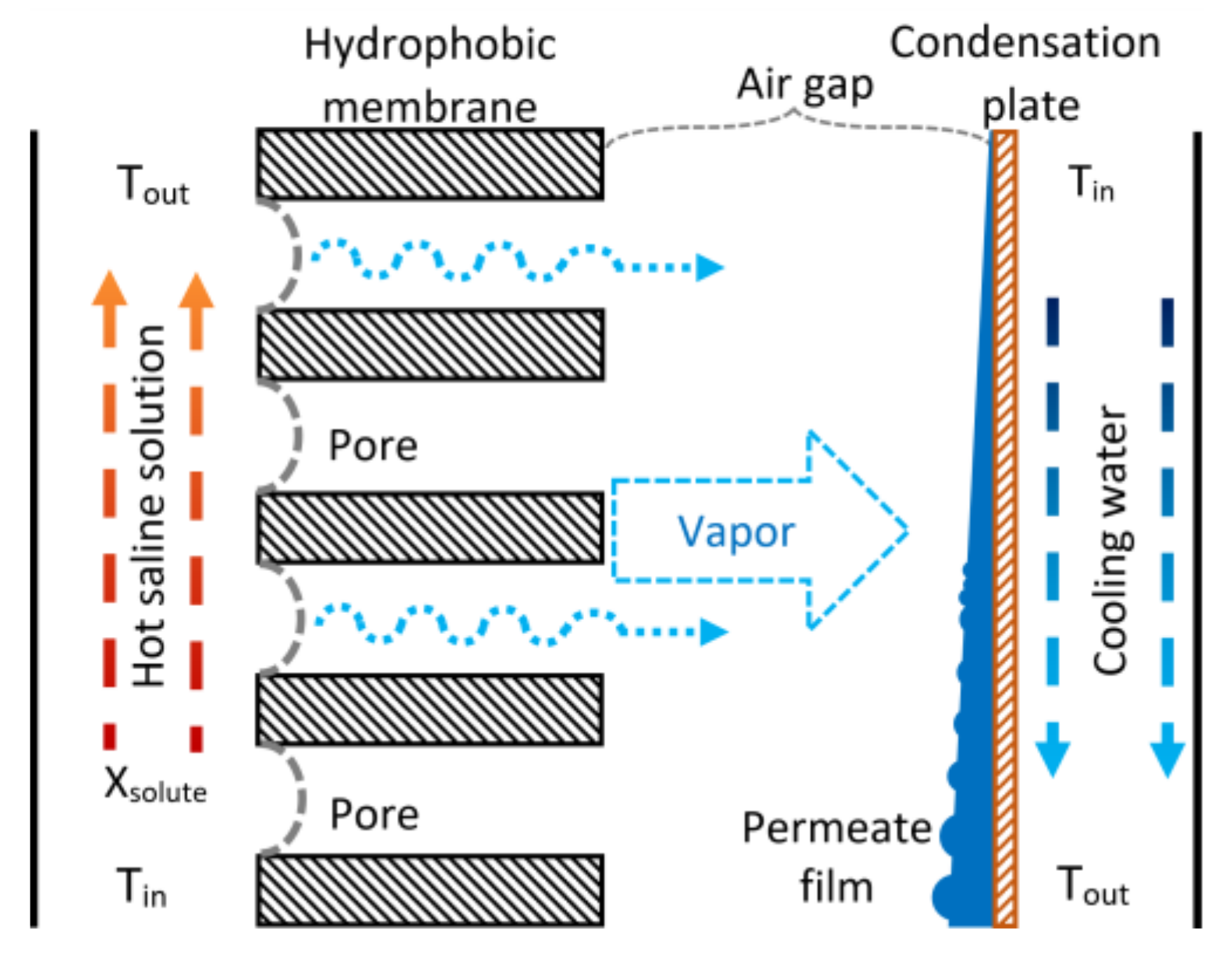 Membranes 11 00474 g001