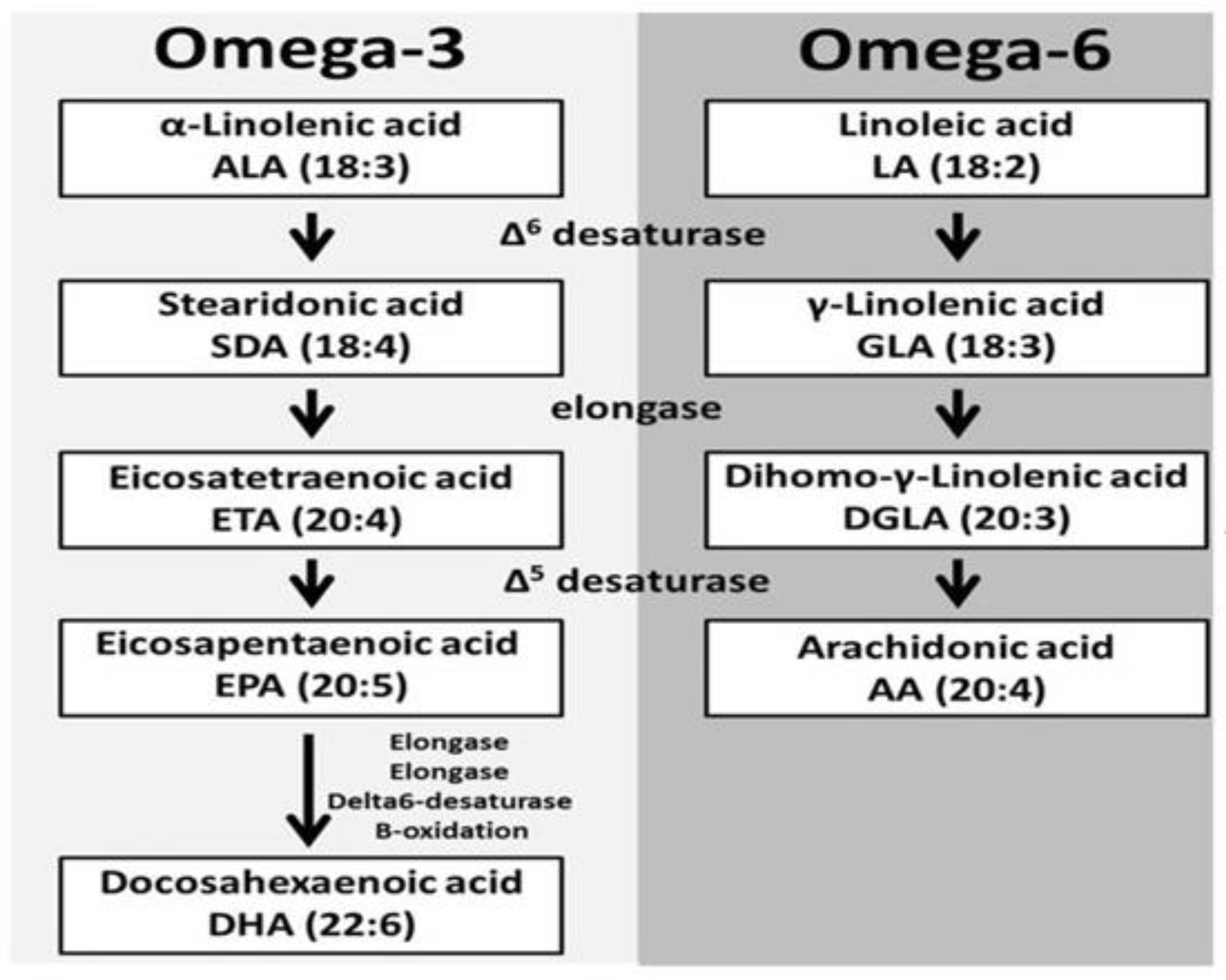 Membranes 11 00479 g004 Membranes 11 00479 g004