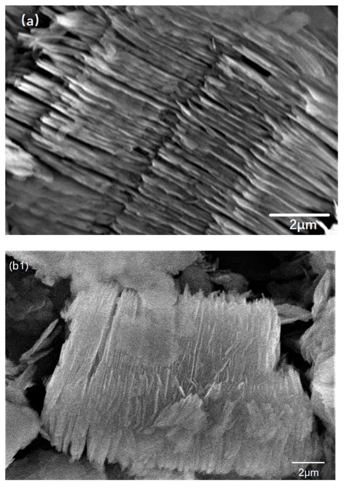 Membranes 11 00483 g005a Membranes 11 00483 g005a