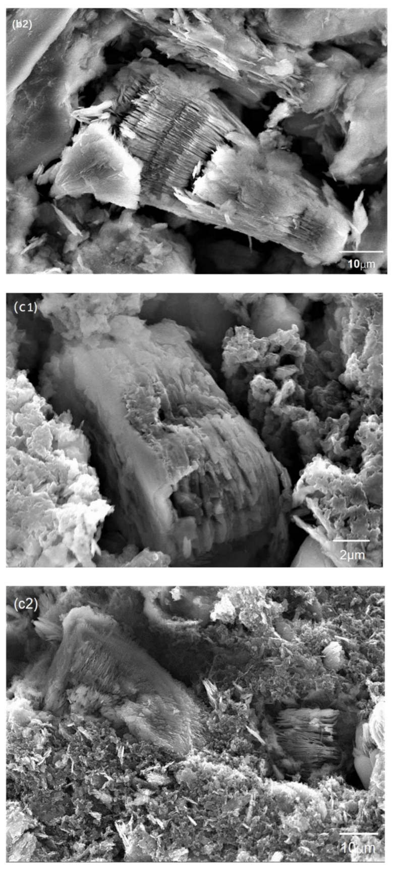 Membranes 11 00483 g005b Membranes 11 00483 g005b