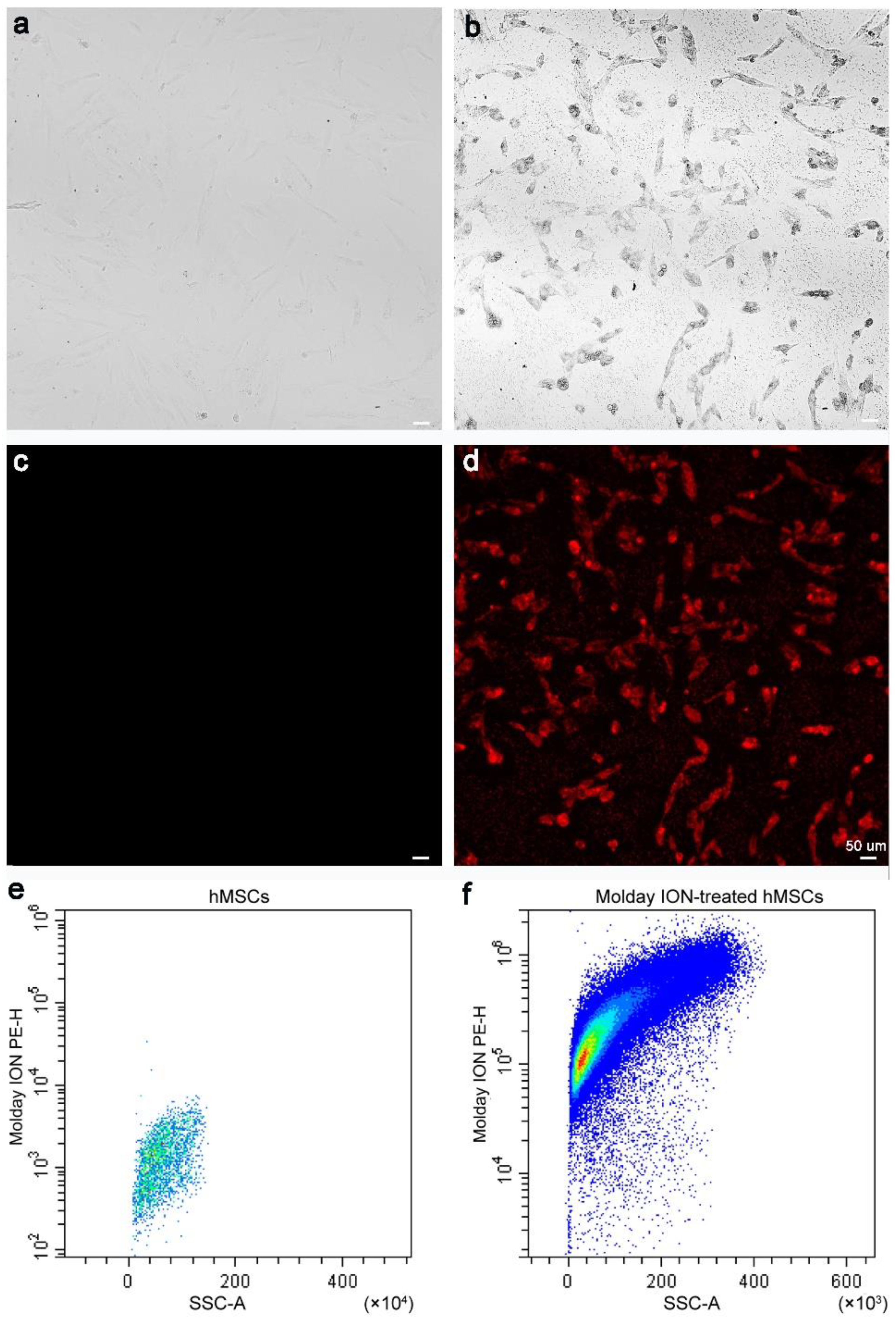 Membranes 11 00484 g001 Membranes 11 00484 g001