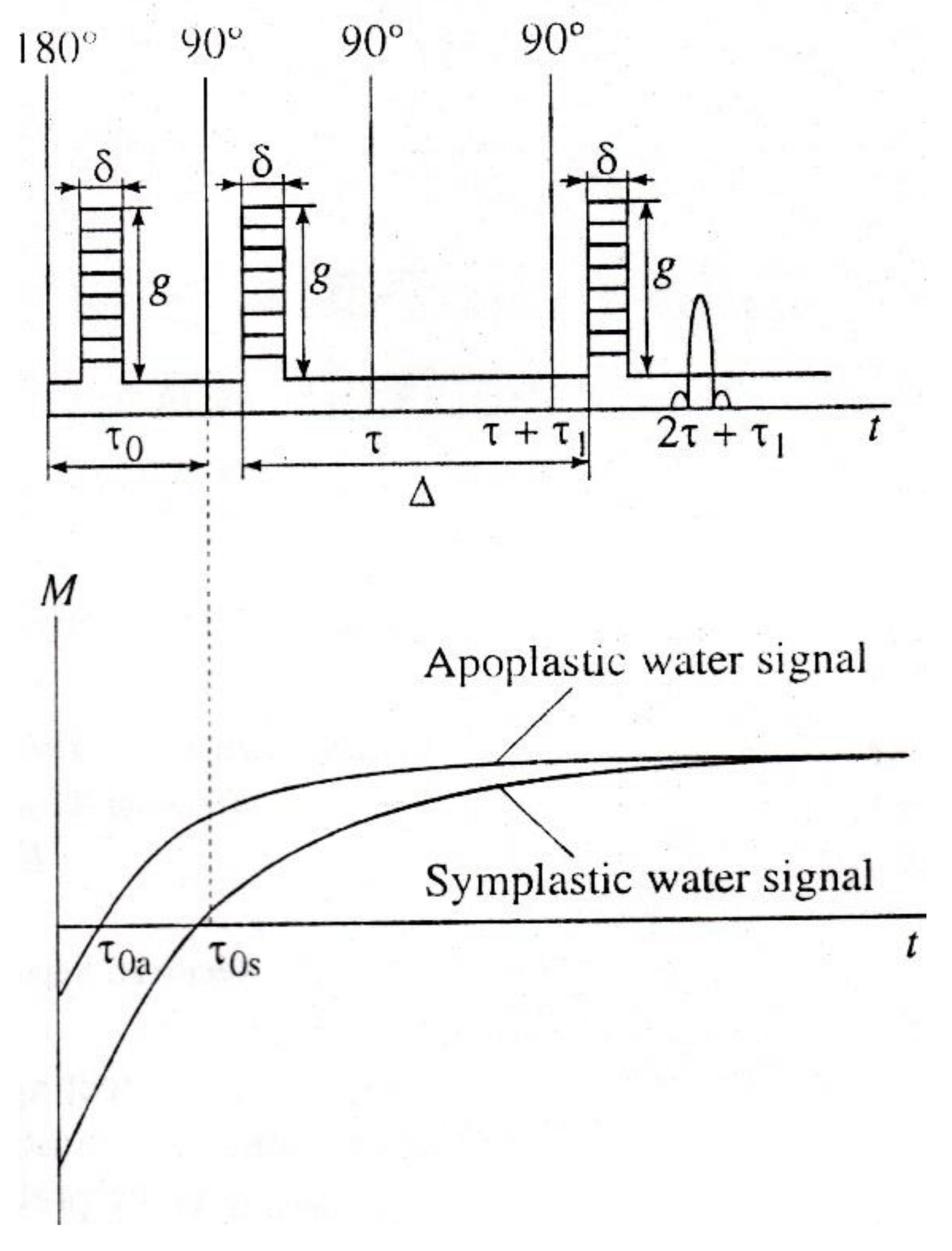 Membranes 11 00487 g006