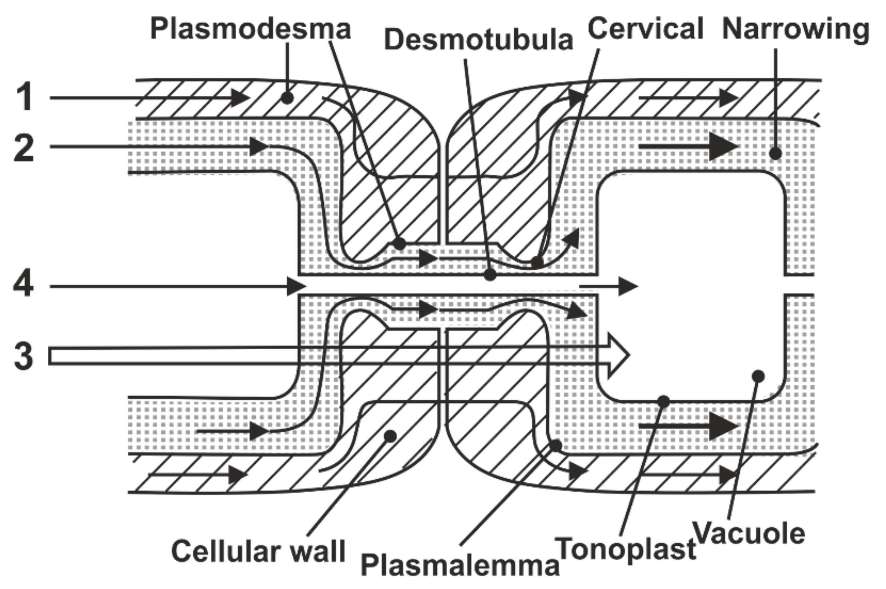 Membranes 11 00487 g013
