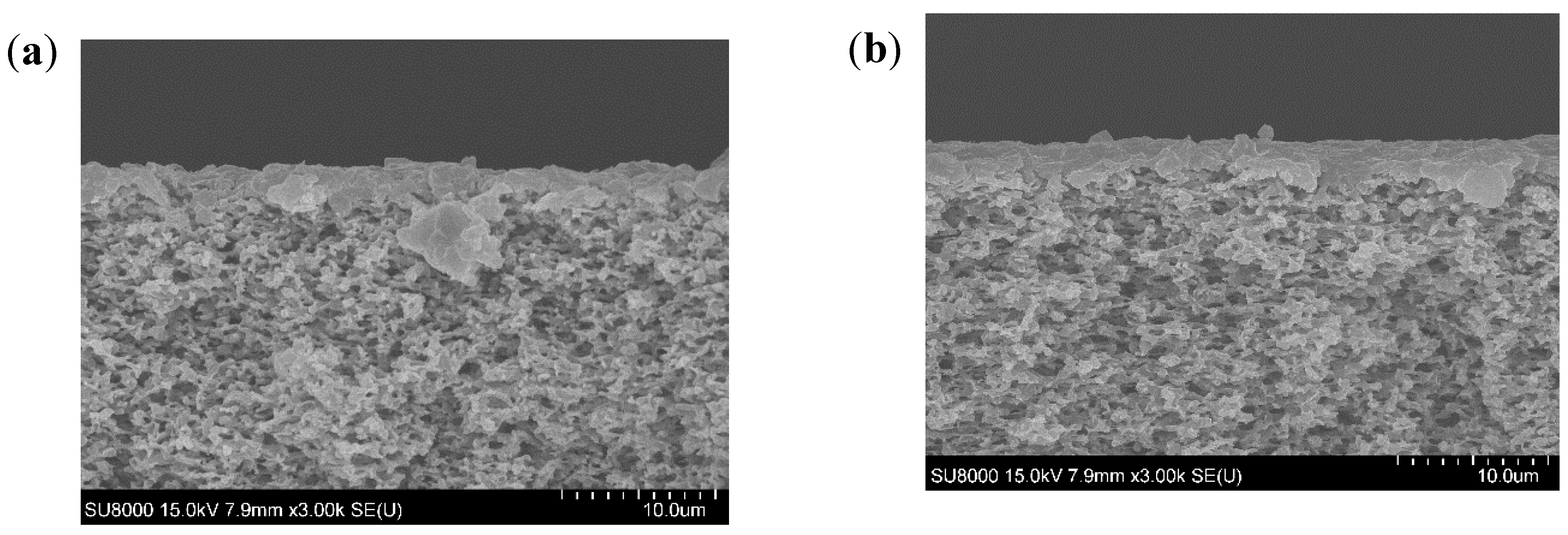 Membranes 11 00493 g002a
