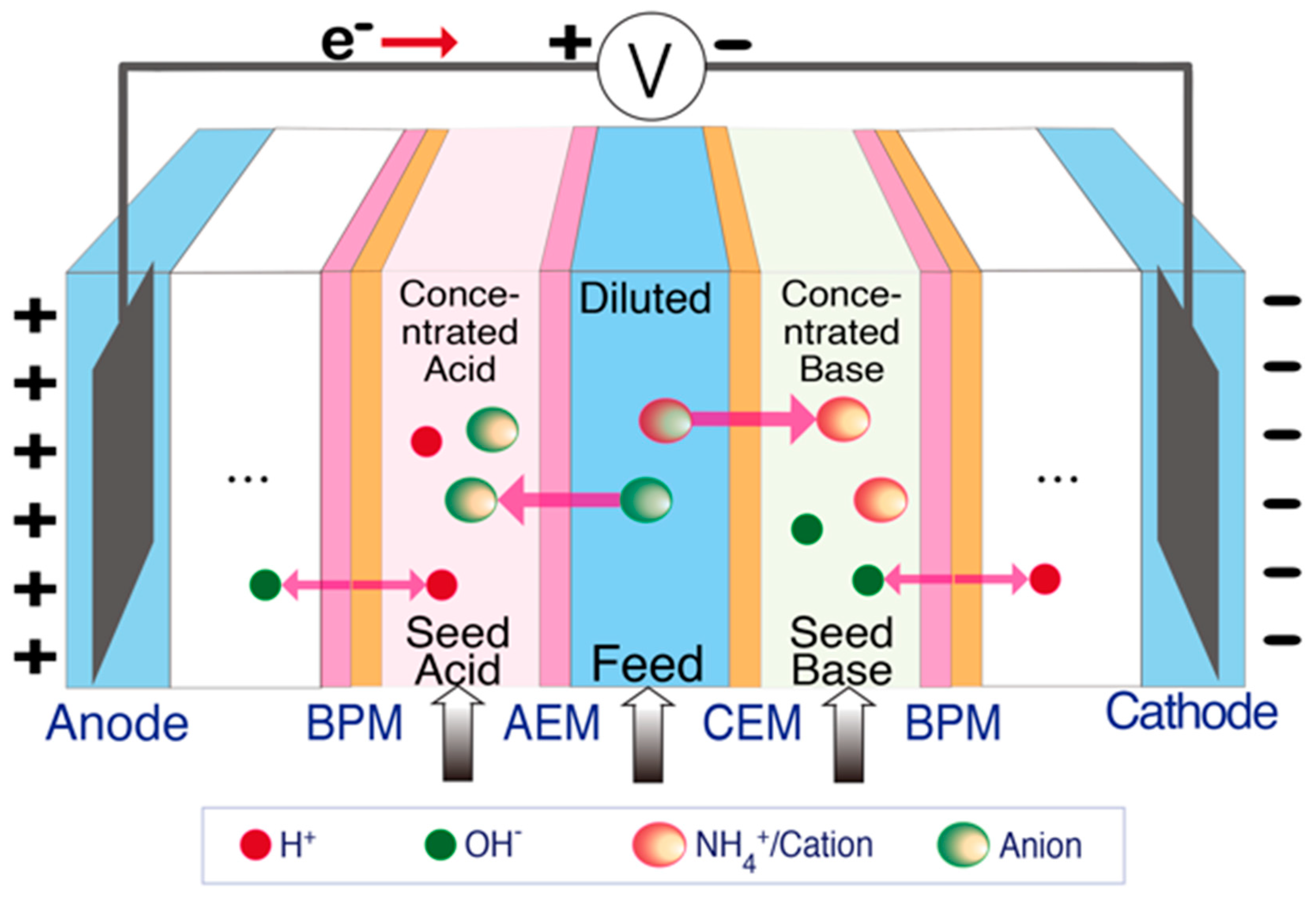 Membranes Free FullText The Application of Cation Exchange