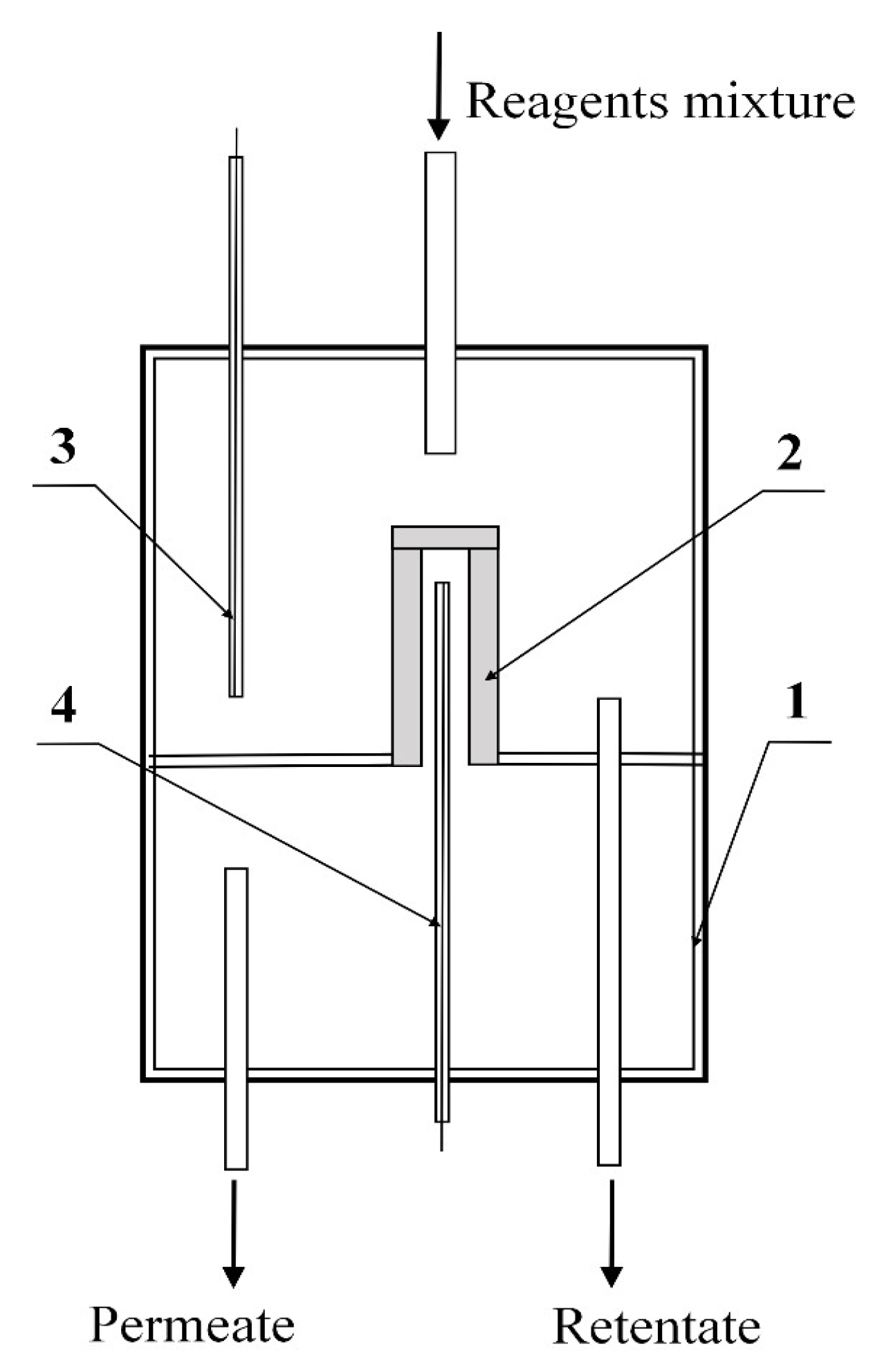 Membranes 11 00497 g001 550