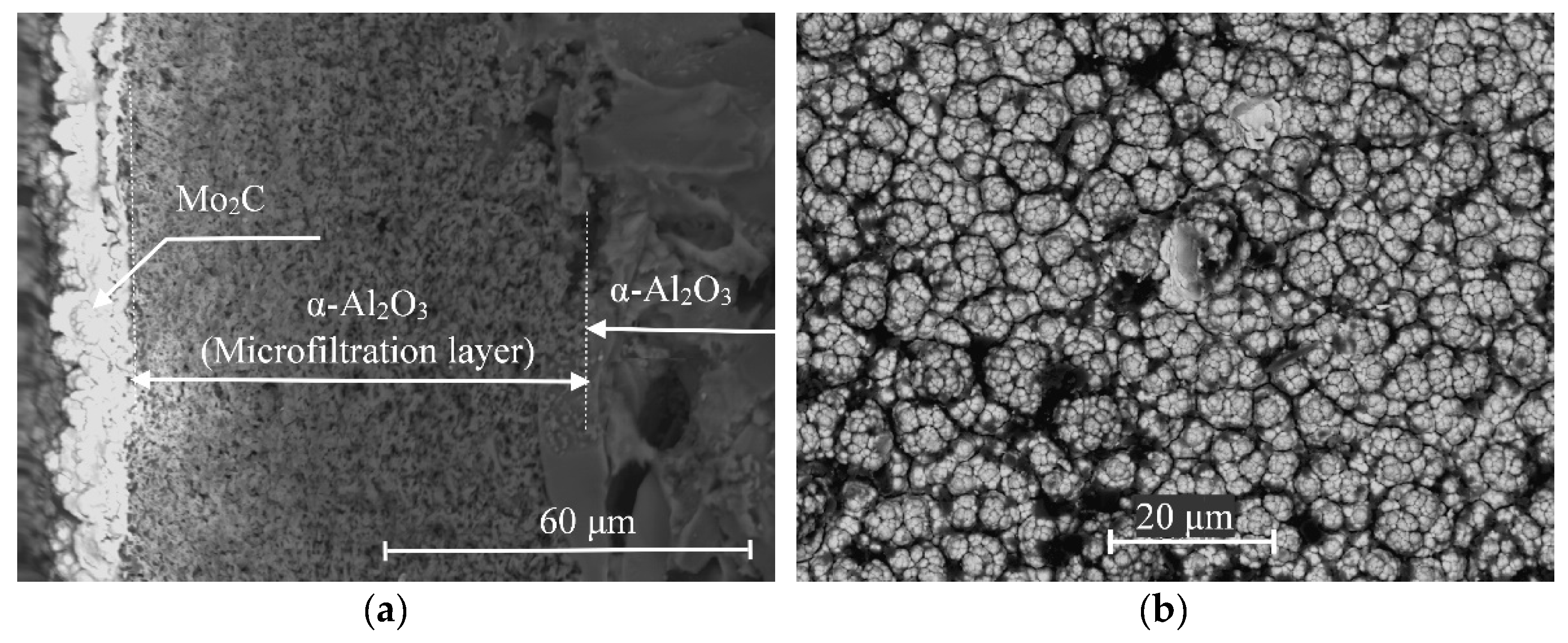 Membranes 11 00497 g003 550