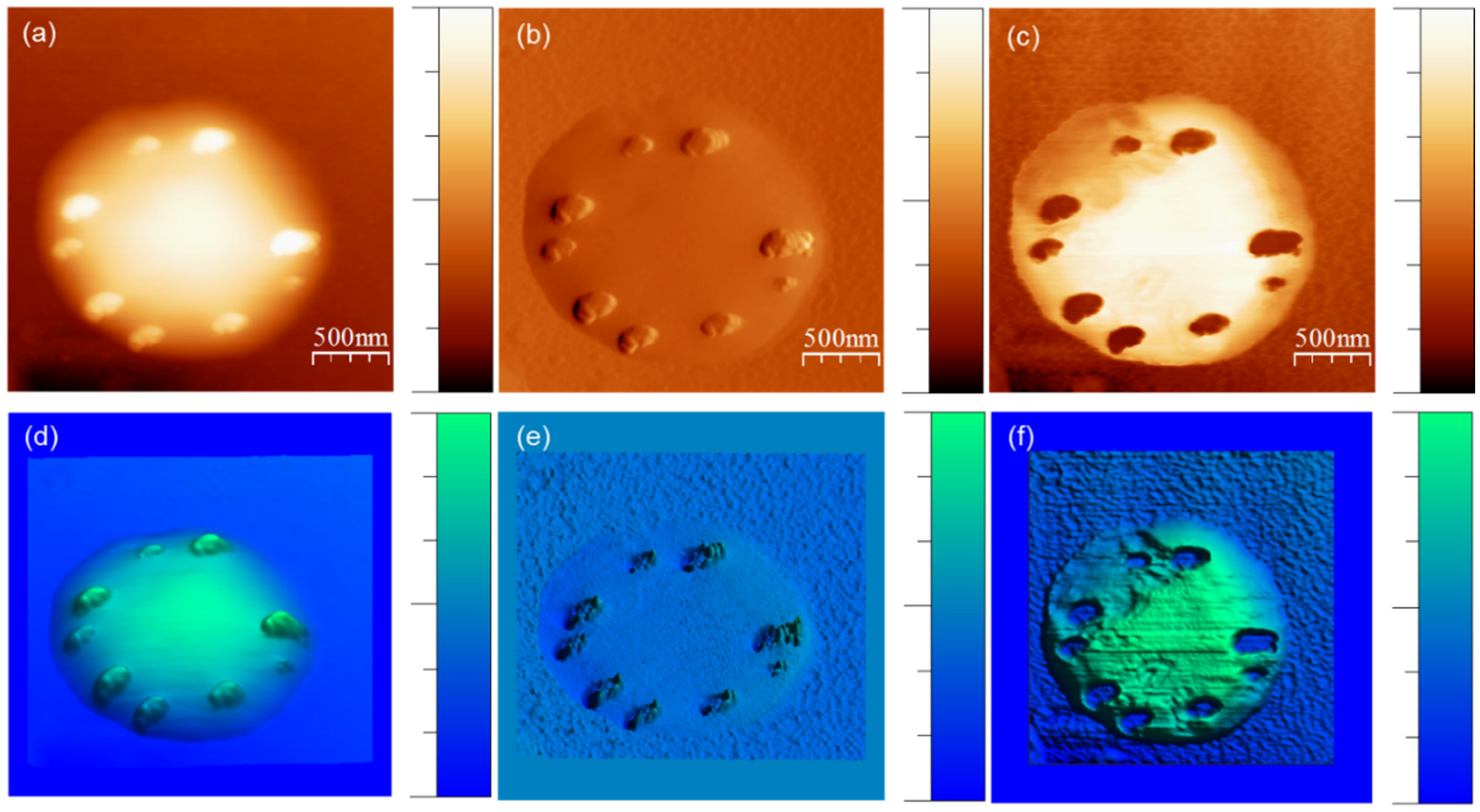 Membranes 11 00501 g006