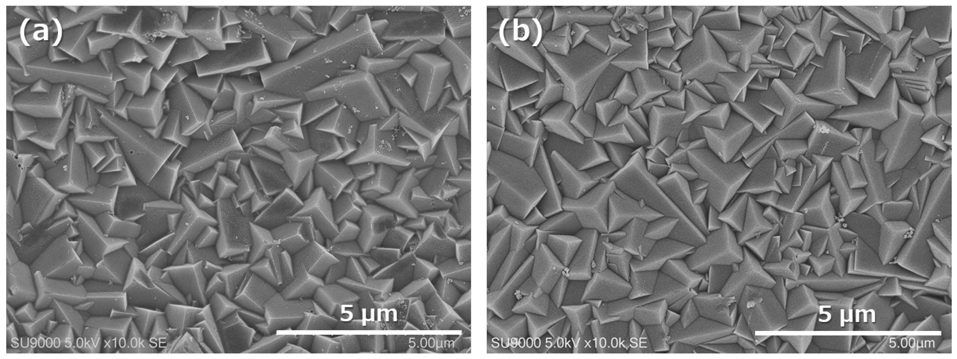 Membranes 11 00505 g002 550