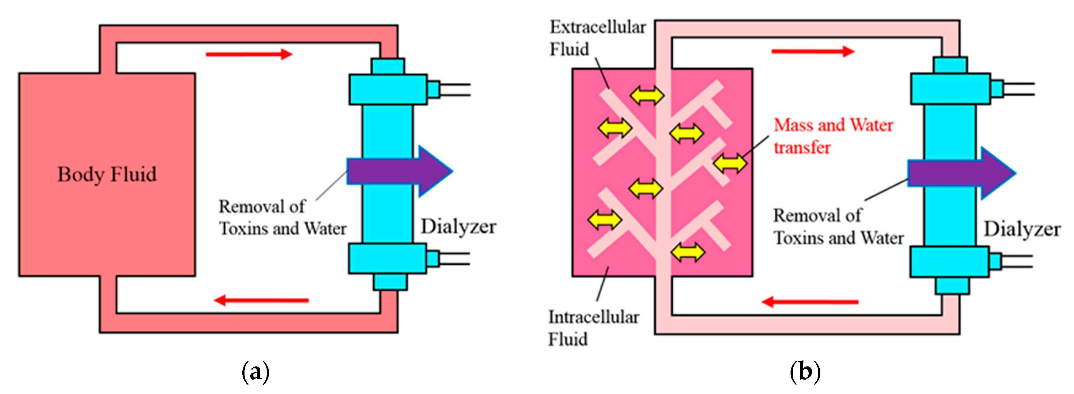 Membranes 11 00506 g001