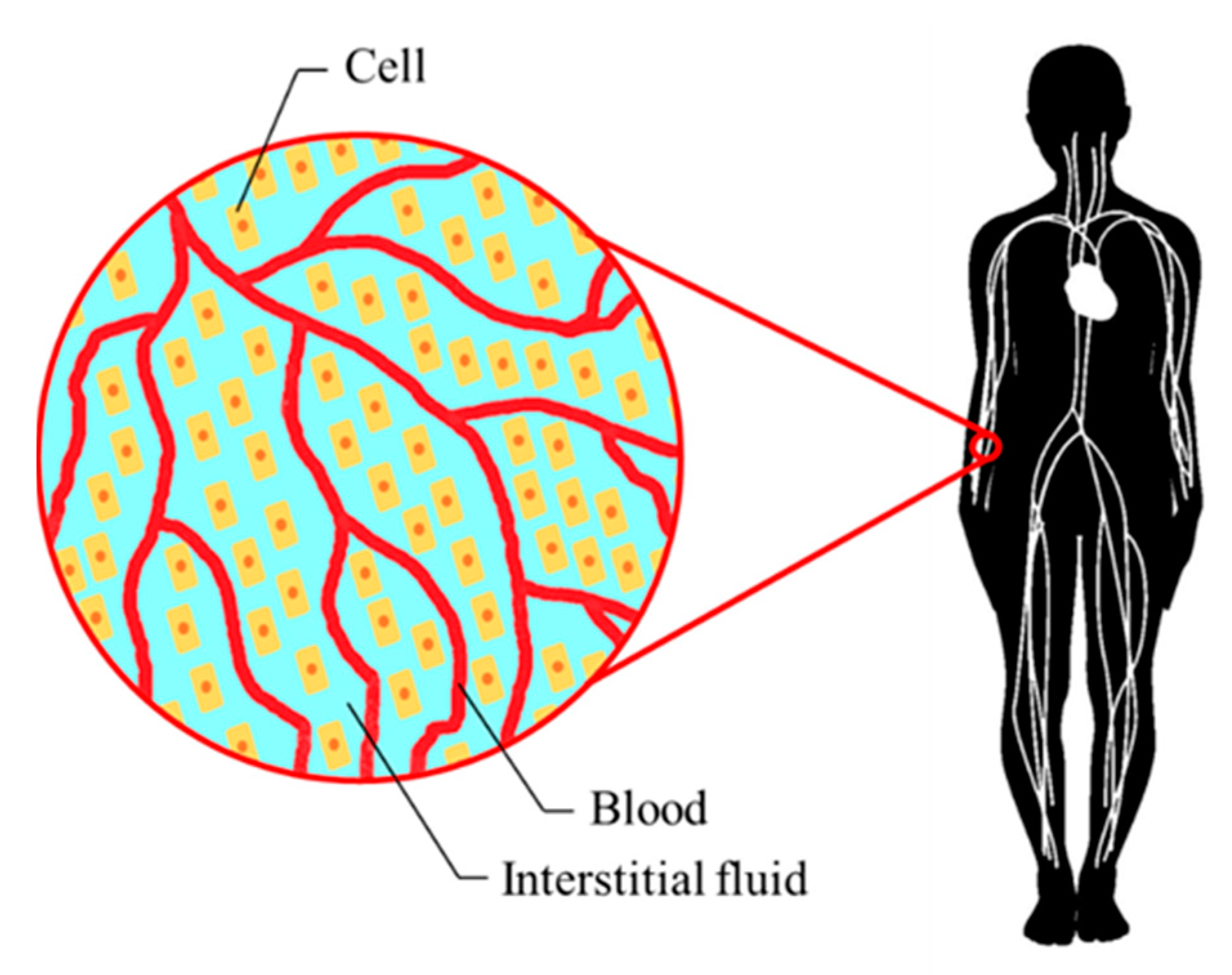 Membranes 11 00506 g002