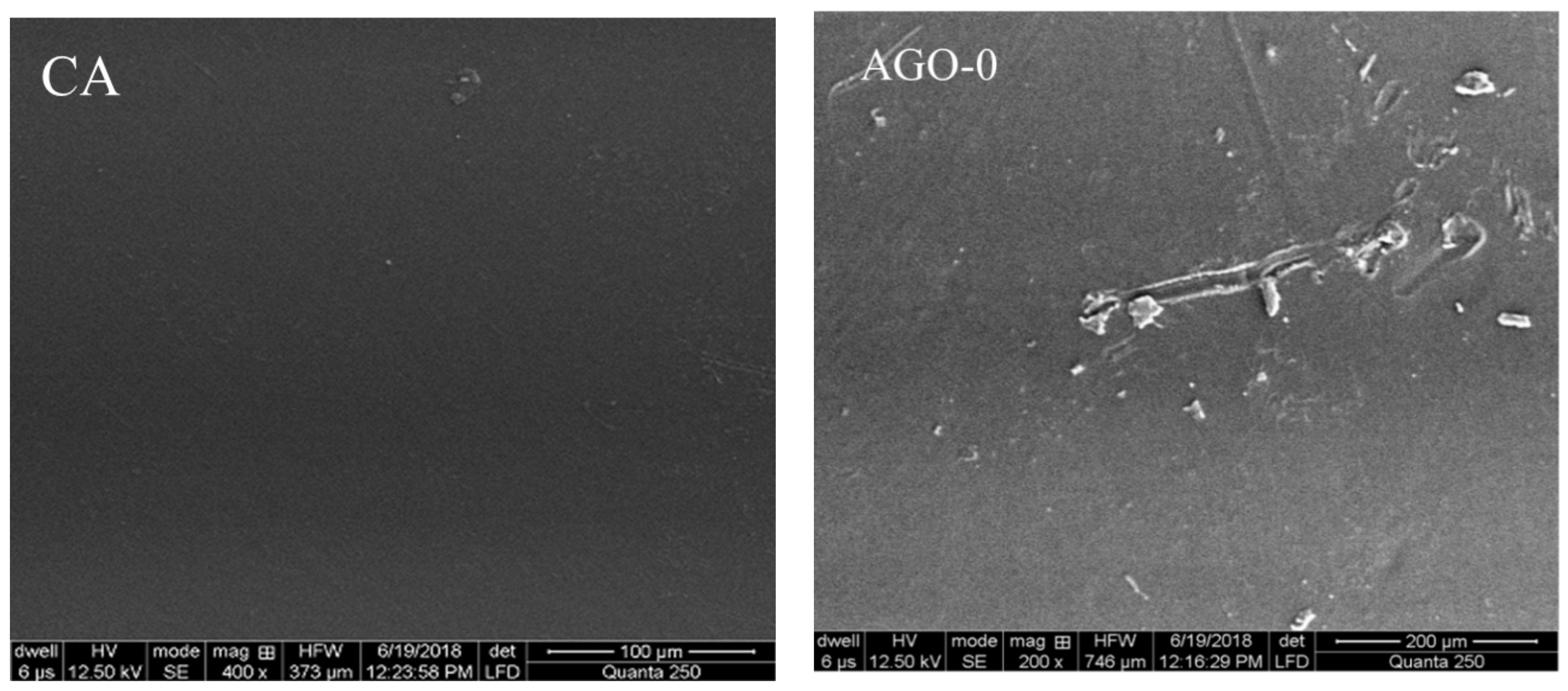 Membranes 11 00510 g005a 550