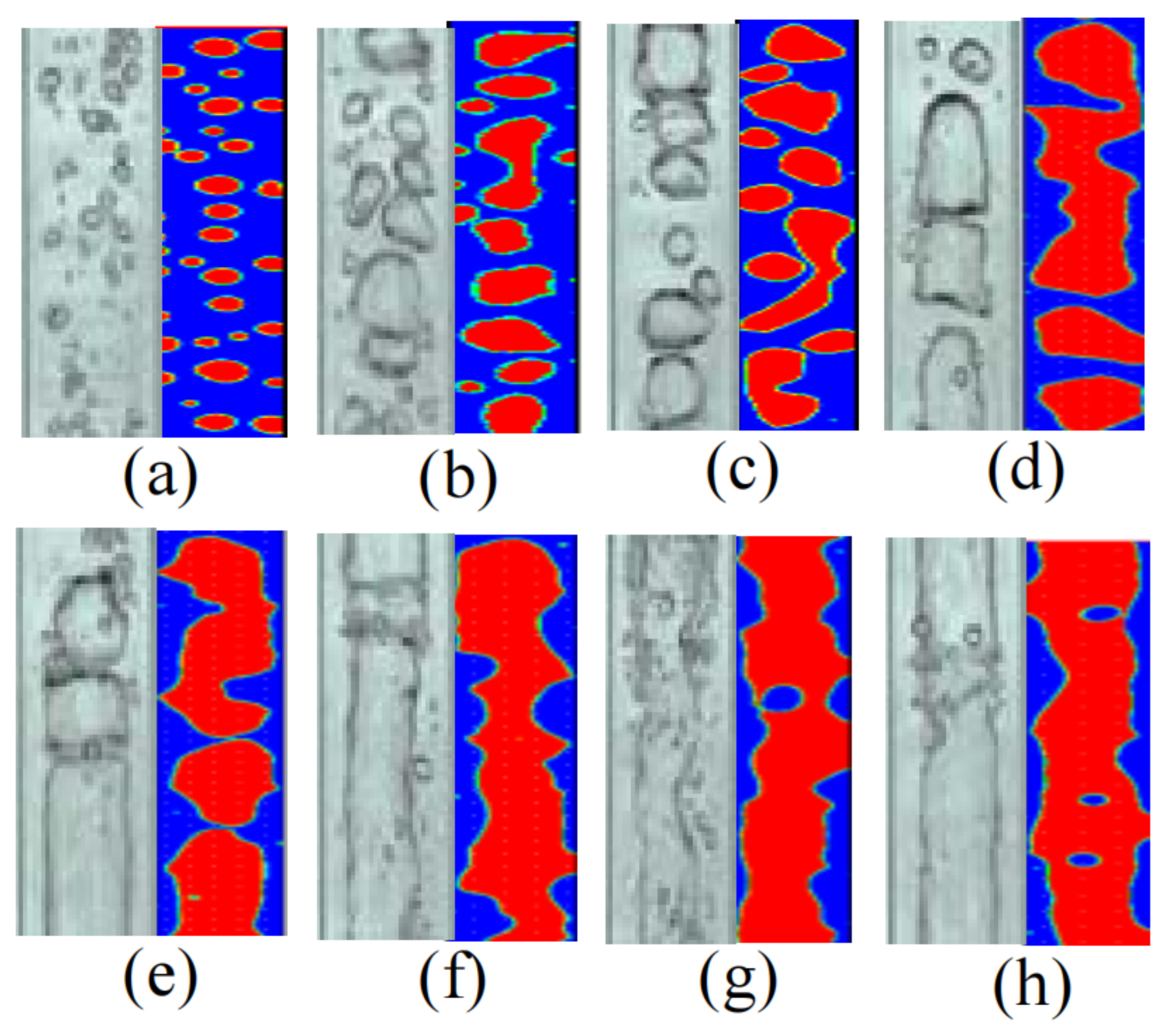 Membranes 11 00513 g007