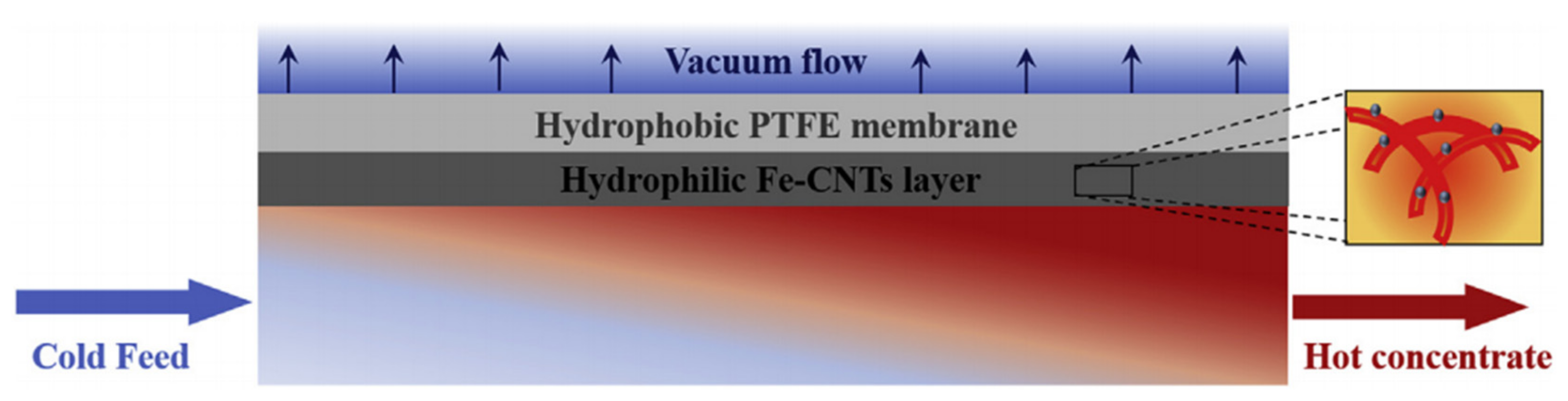 Membranes 11 00513 g021