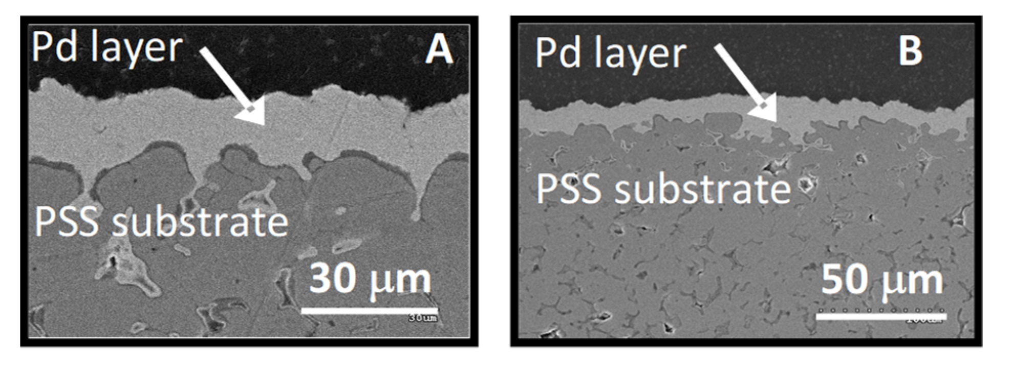 Membranes 11 00518 g006