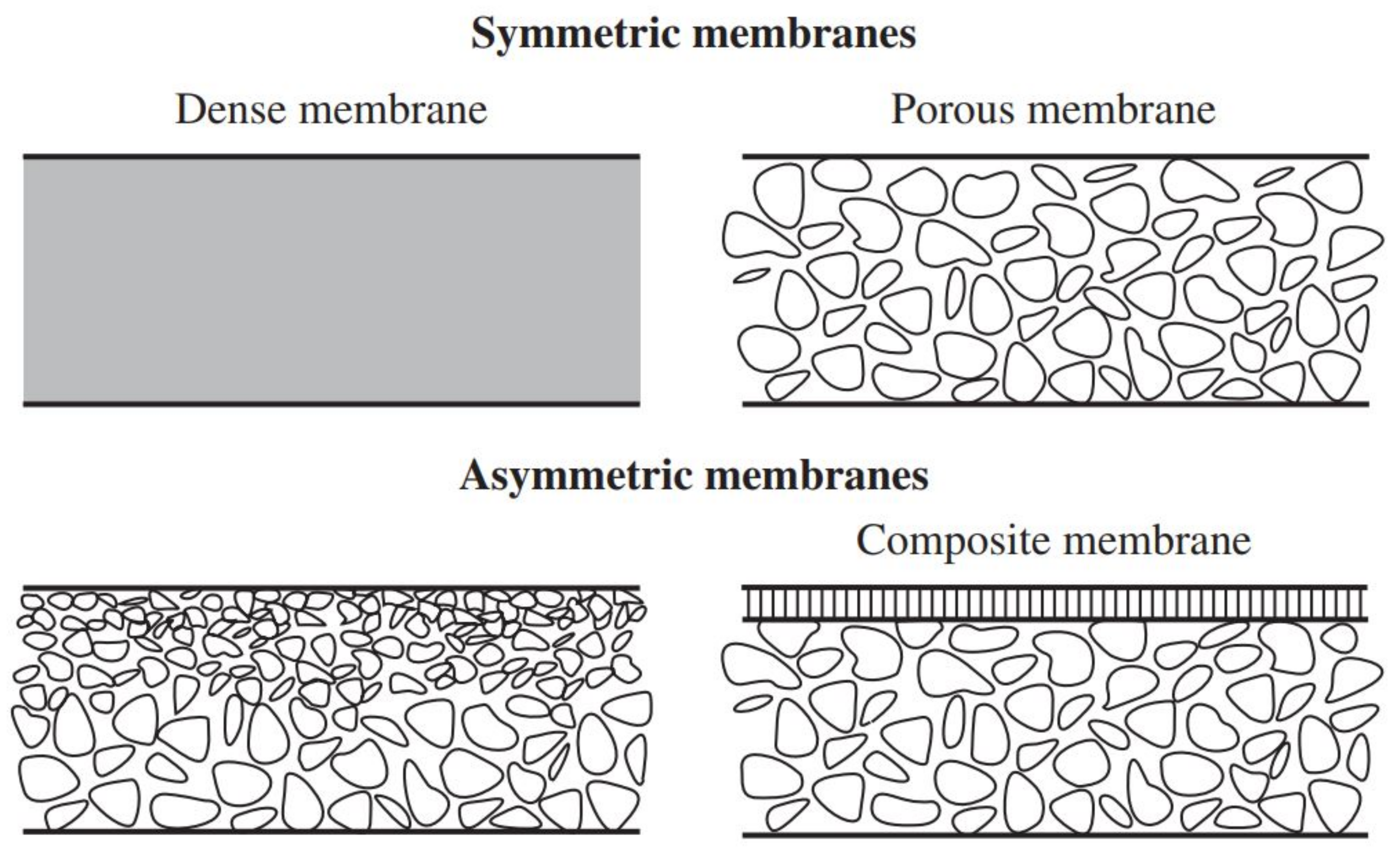 Membranes 11 00519 g002