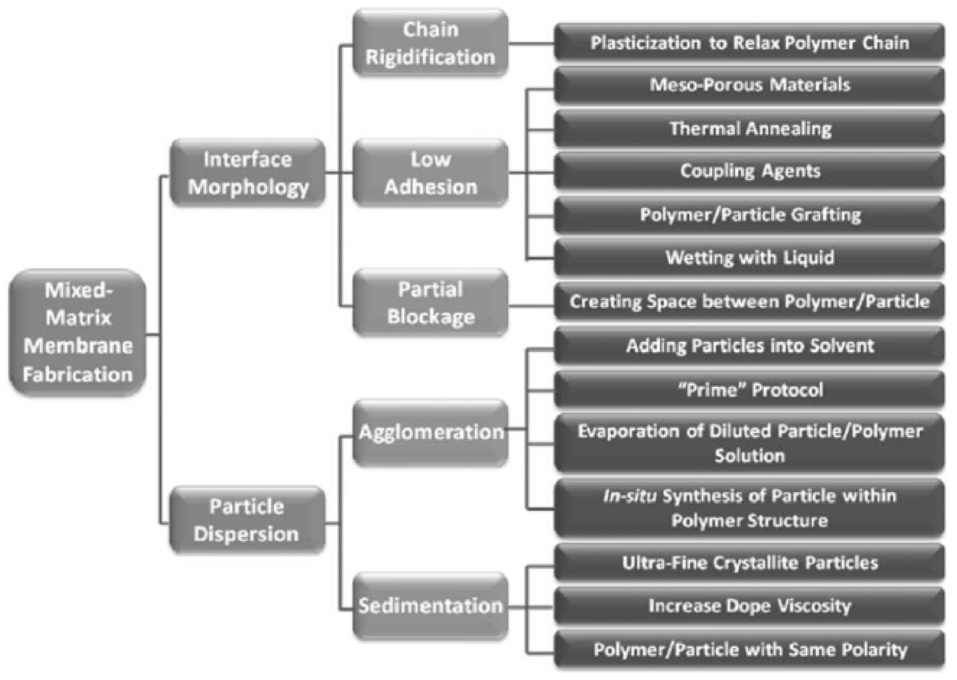 Membranes 11 00519 g004