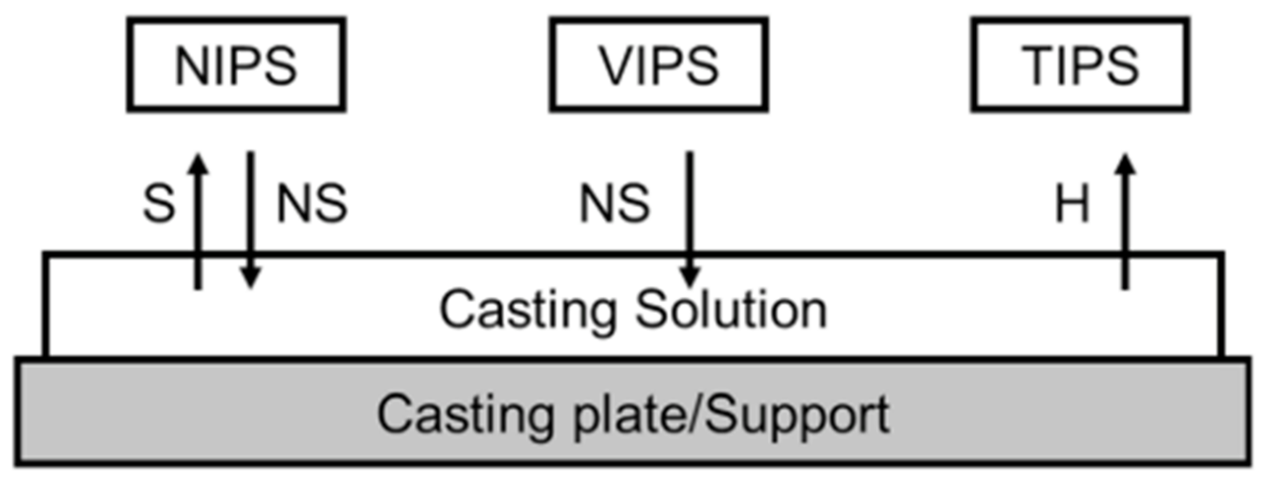 Membranes 11 00519 g007