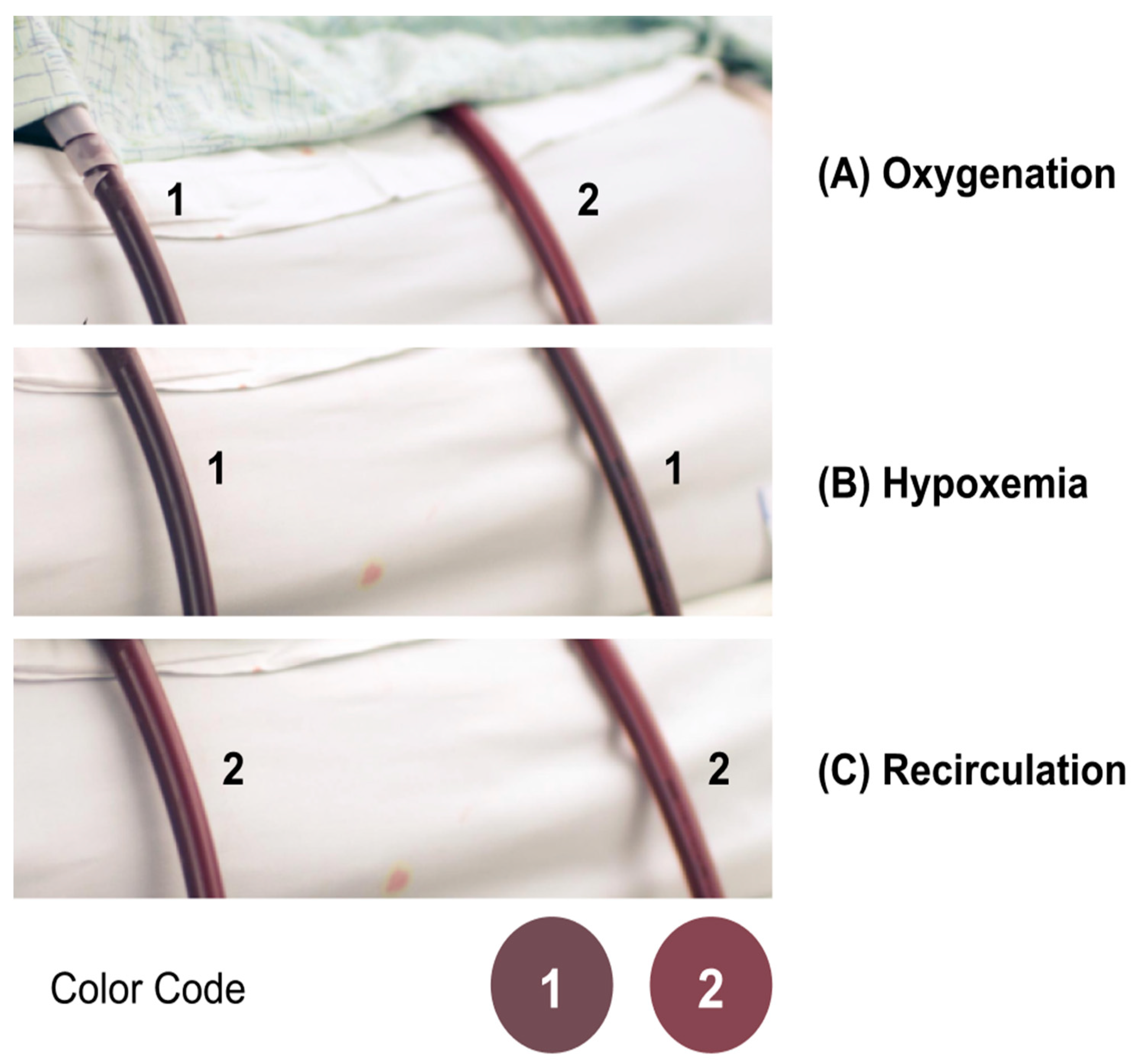 Membranes 11 00520 g011 550