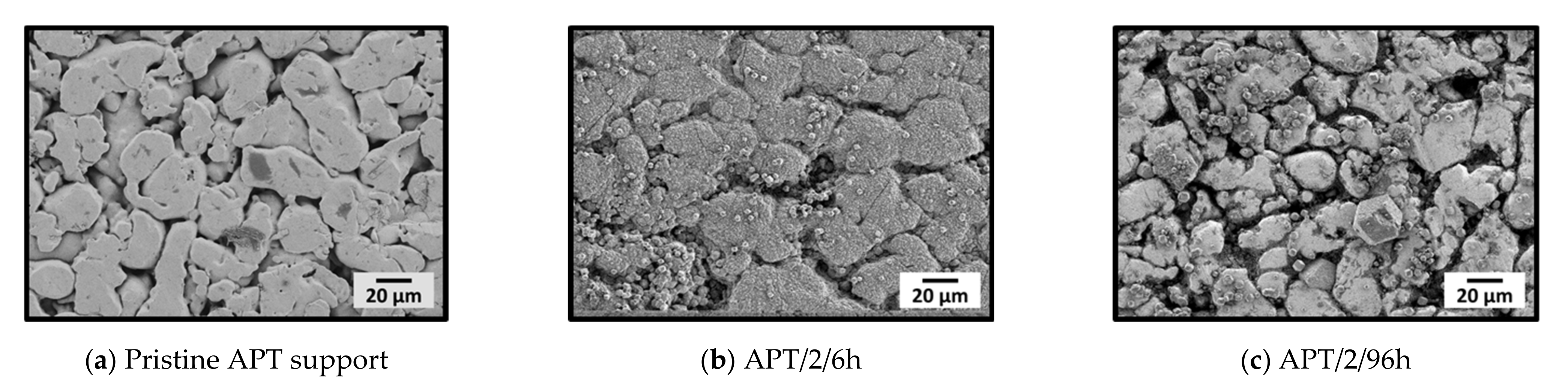 Membranes 11 00523 g005