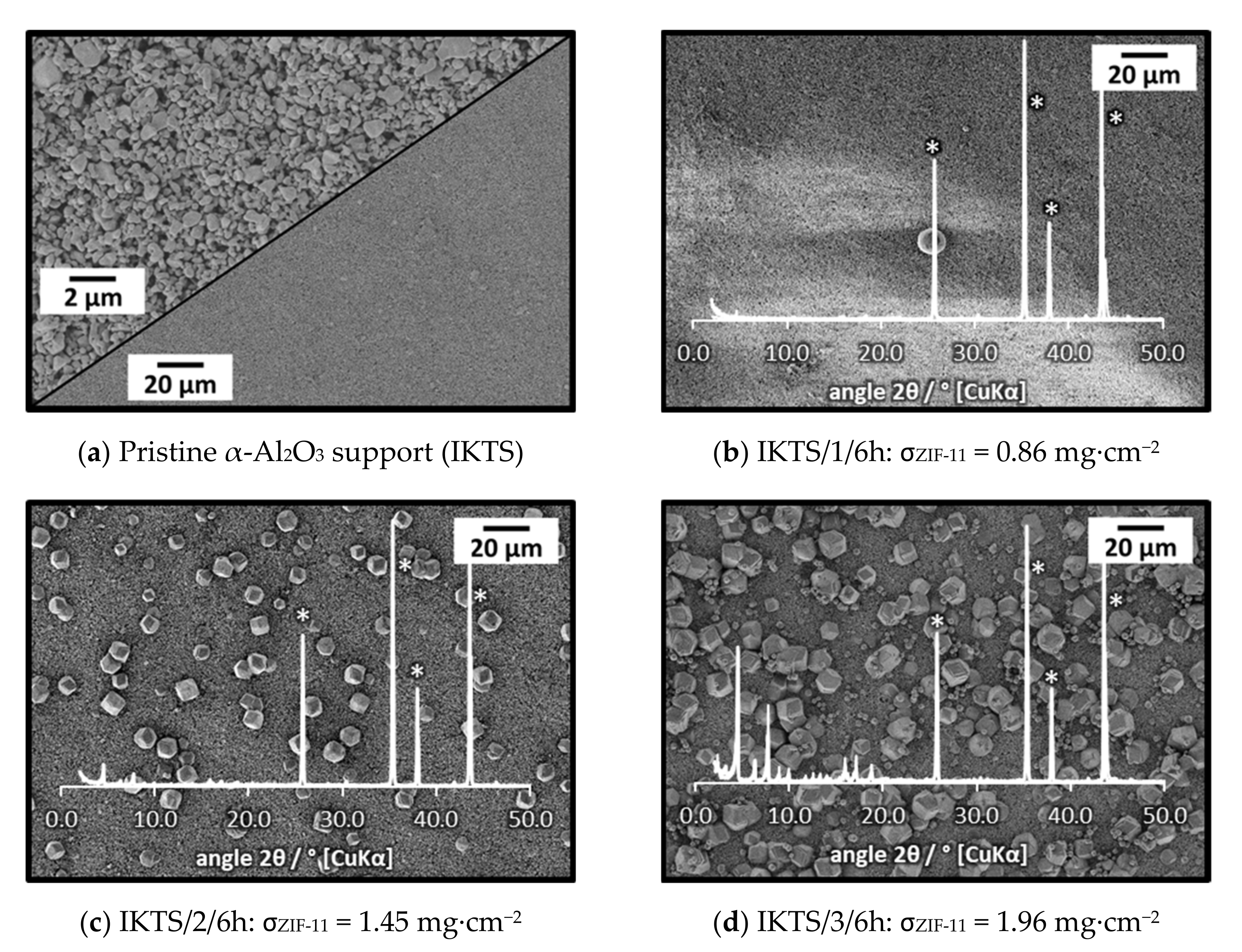 Membranes 11 00523 g009