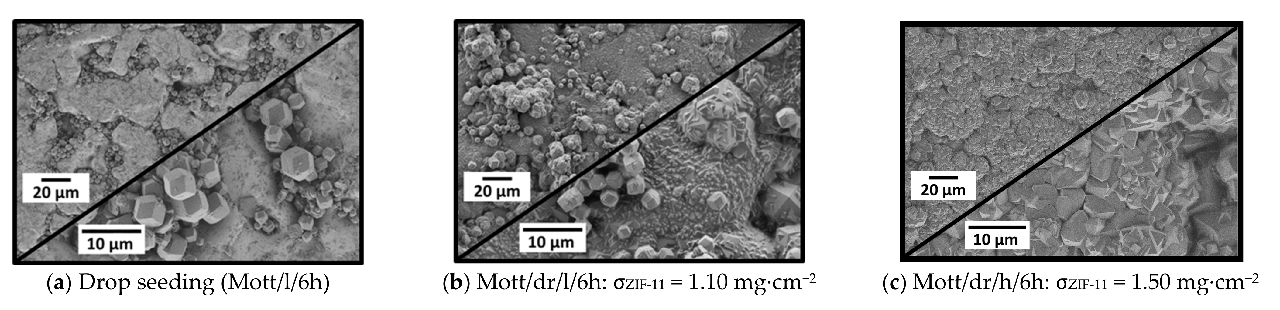 Membranes 11 00523 g012