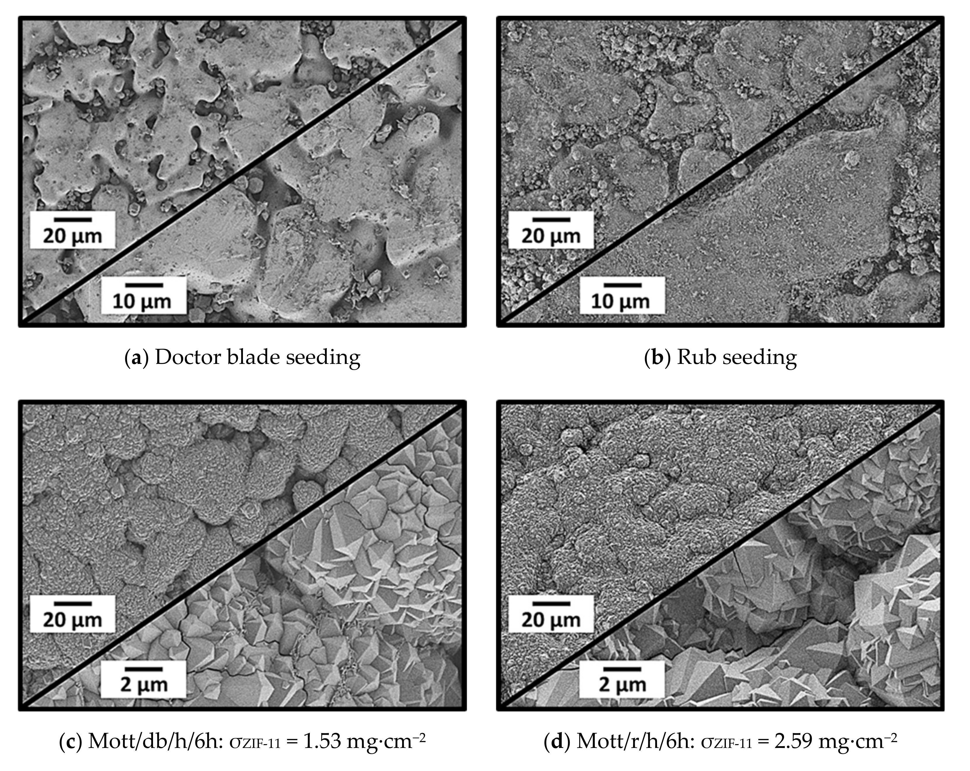 Membranes 11 00523 g014