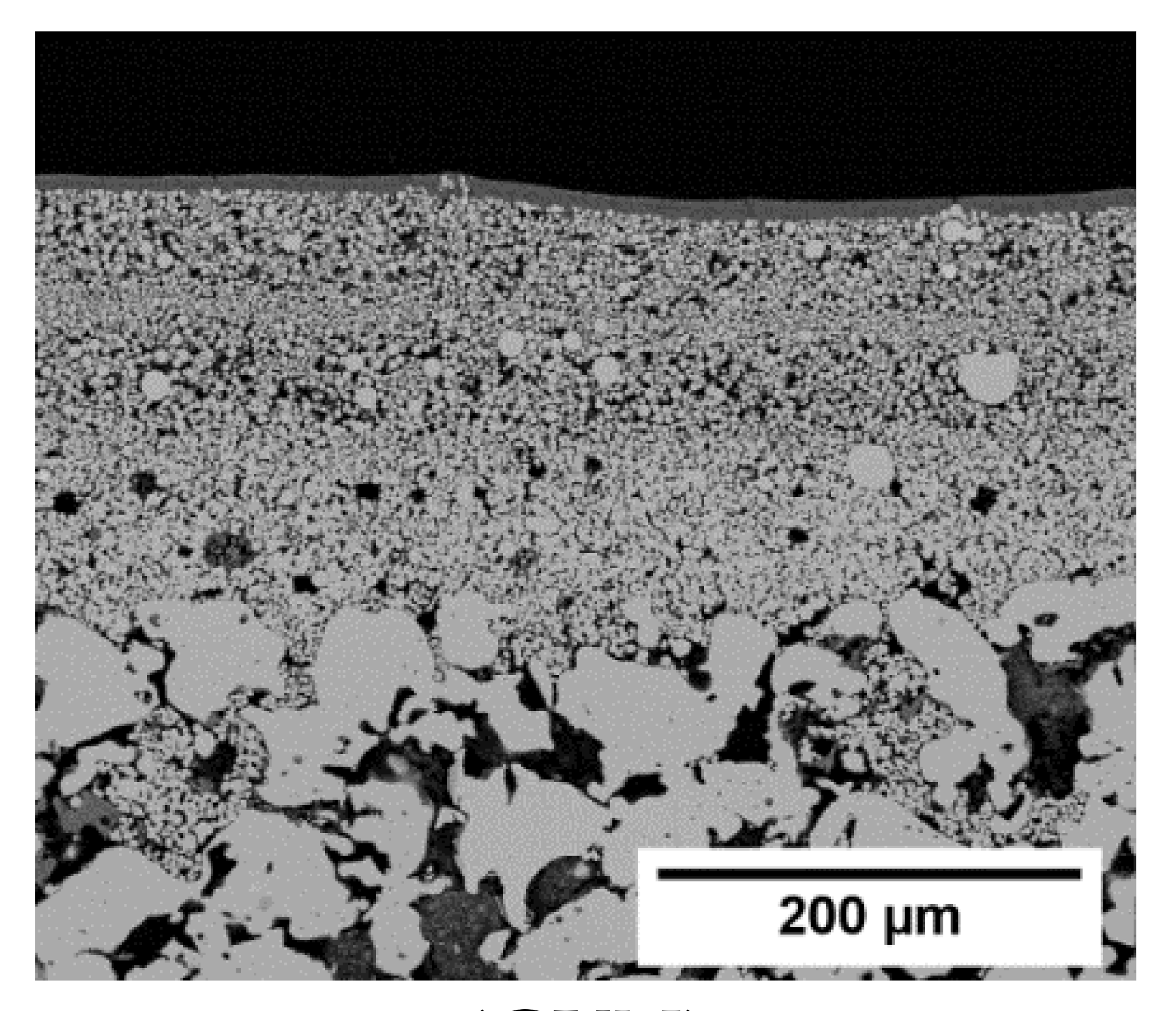 Membranes 11 00523 i002
