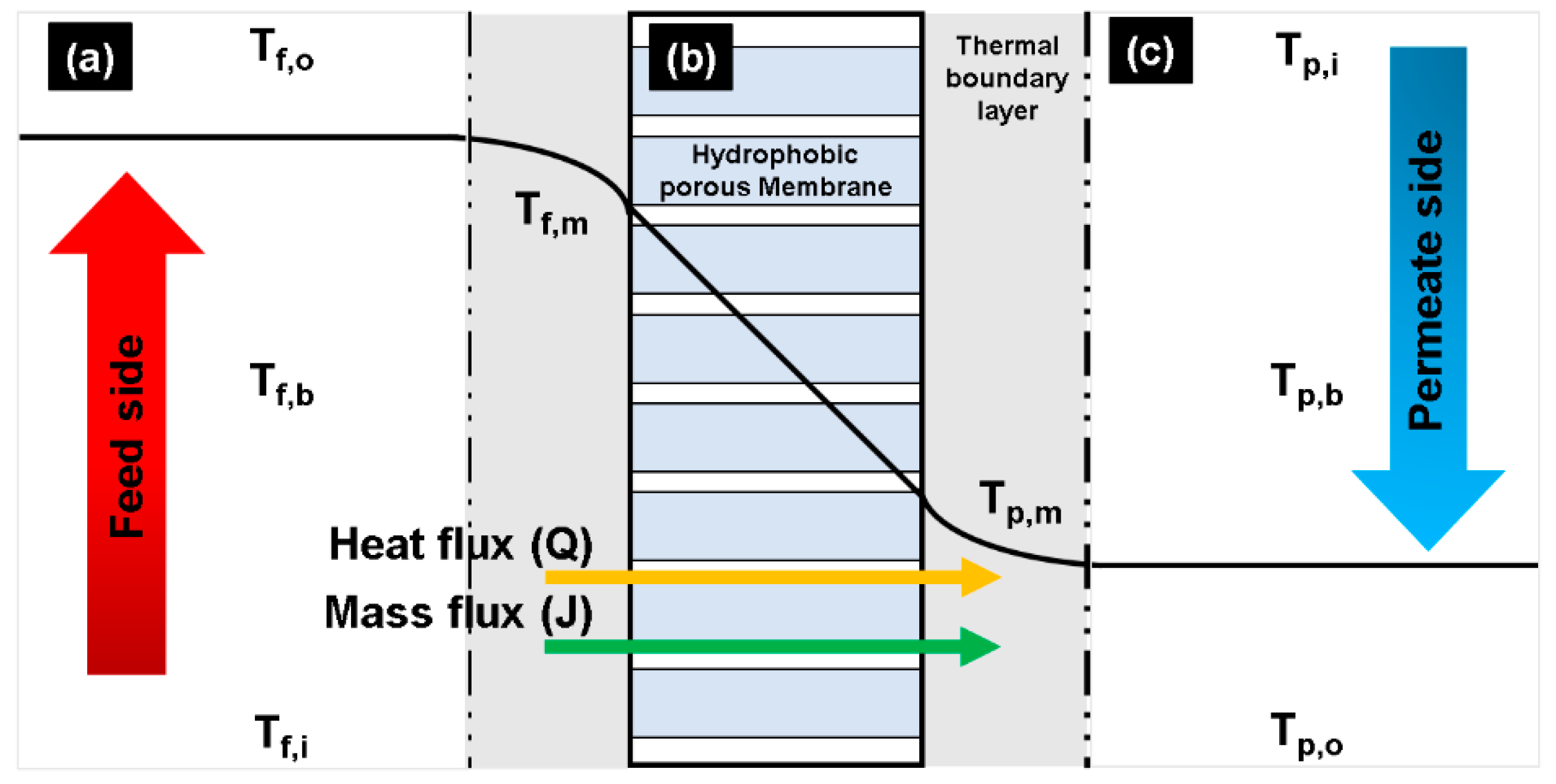 Membranes 11 00525 g001