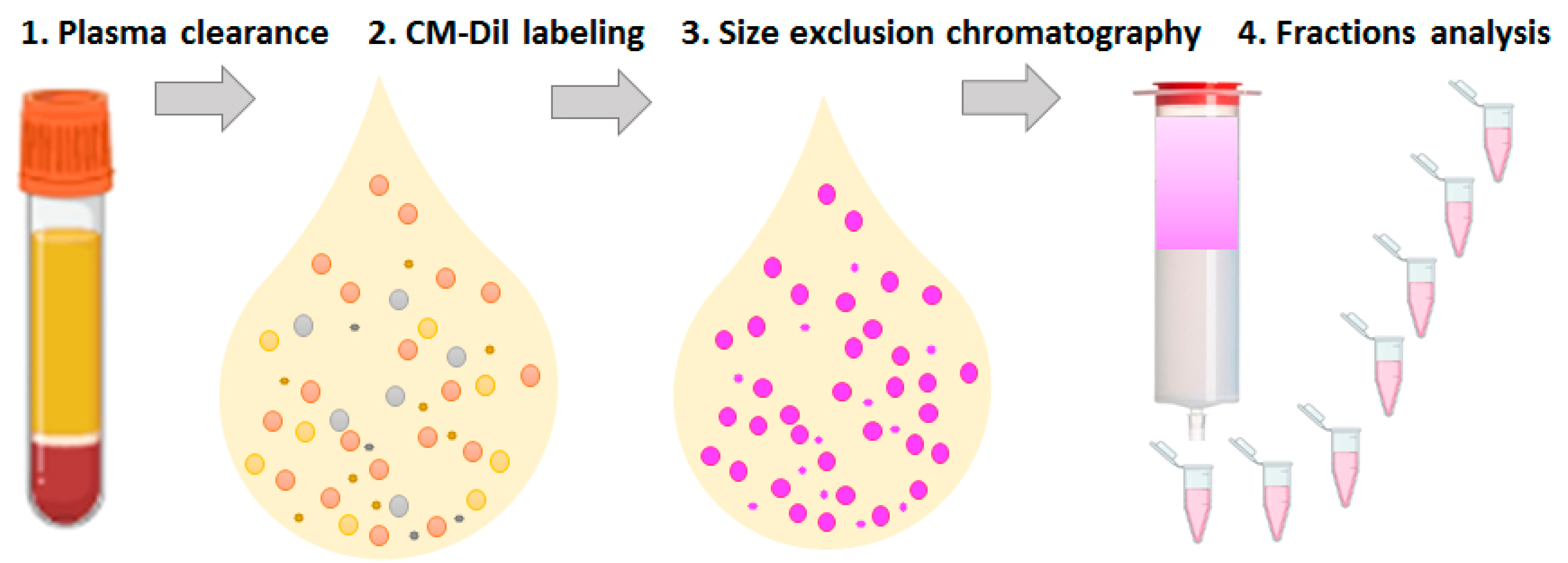Membranes 11 00526 g001 550